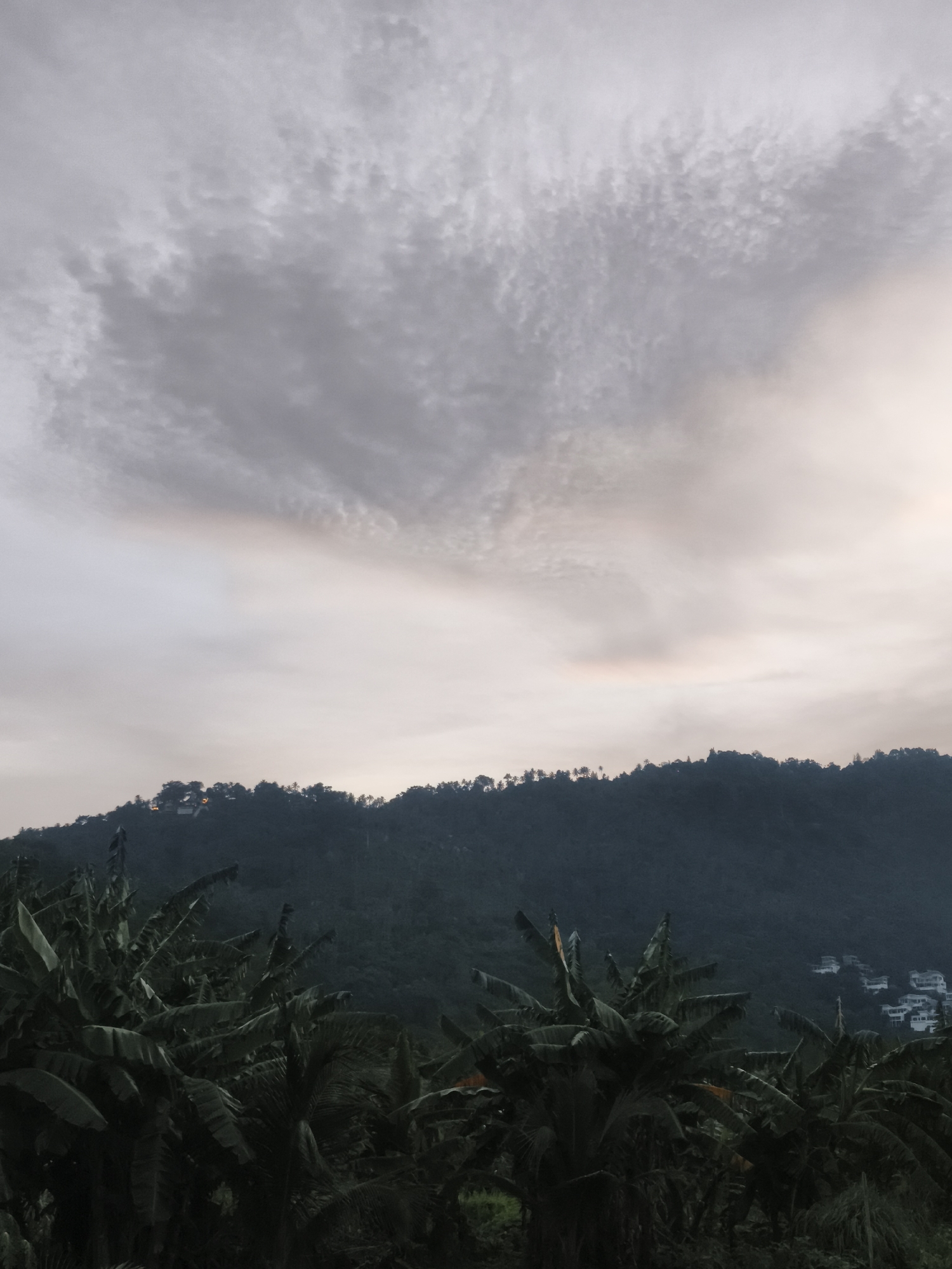 The image shows a dark, overcast sky above a densely forested hillside in Ko Samui District, Thailand. In the foreground, large banana tree leaves are visible, their dark green color contrasting with the muted tones of the sky and distant landscape. The hillside is covered in trees, with some structures, possibly houses, sparsely scattered along the upper slopes. The lighting suggests it is either dawn or dusk, with the sky exhibiting subtle hues of pink and orange near the horizon. The overall impression is one of a lush, tropical environment under a moody sky.