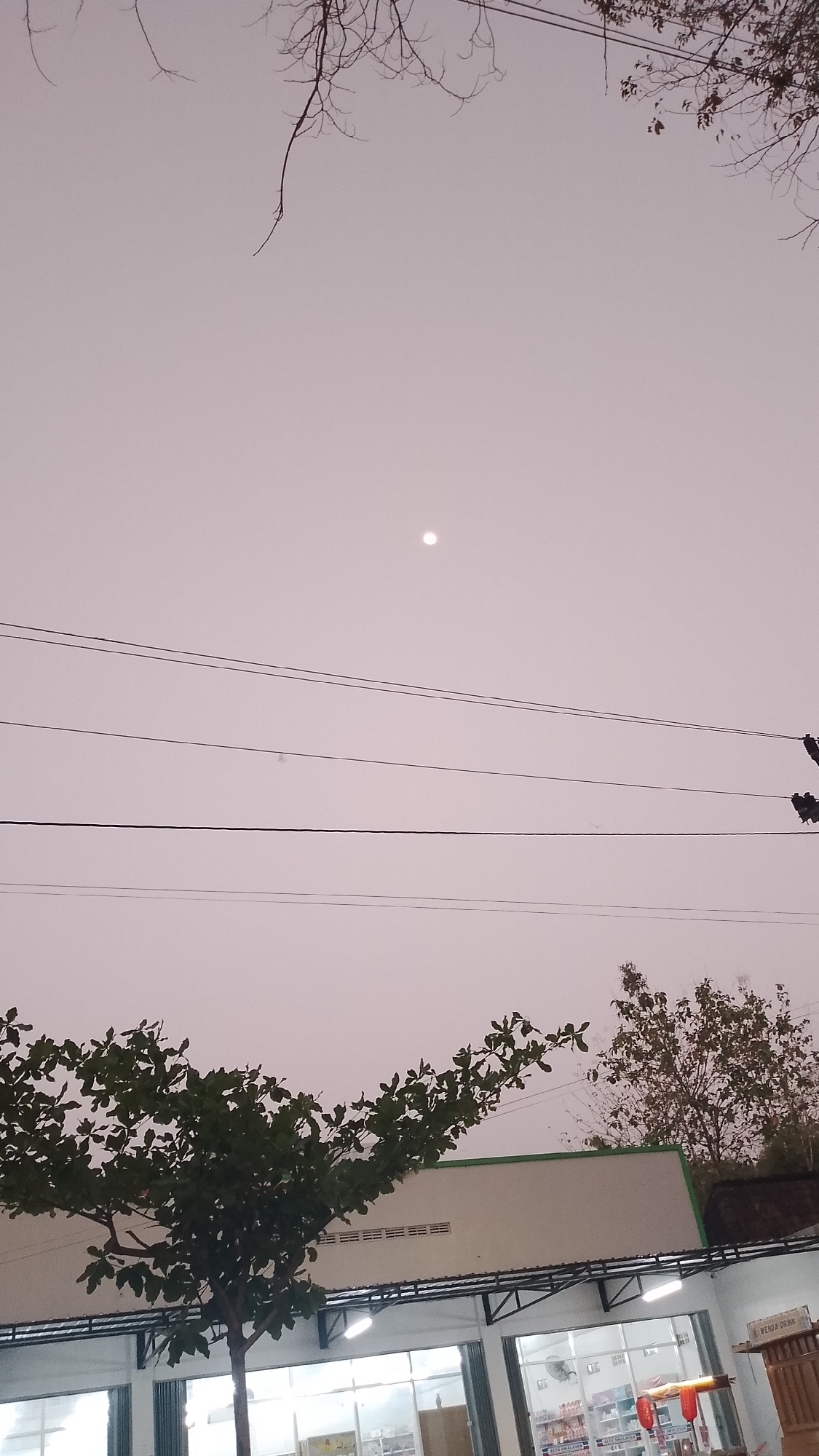 The image depicts an outdoor scene at dusk in Karanglangu, Indonesia. A pale, hazy sky dominates the upper portion of the frame, with a small, bright circle, possibly the moon, visible near the center. Several dark, thin power lines stretch horizontally across the sky. In the foreground, a leafy green tree branches out from the left side of the image. Behind the tree and power lines, a white building with a green trim runs horizontally across the frame. The building appears to be a commercial establishment, with large windows and some interior lighting visible. The lower edge of the image shows a section of the building's exterior, including structural elements and what appears to be signage. Bare tree branches, silhouetted against the sky, frame the top of the image, suggesting a cooler season or the end of the day.