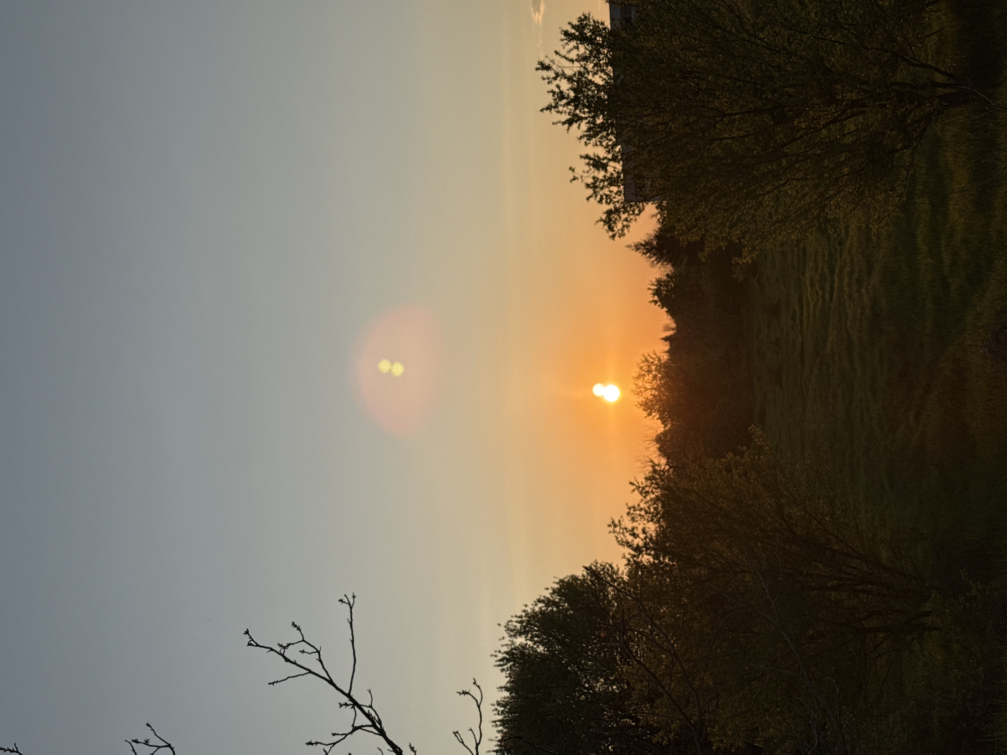 The image shows a sunrise over a field in Pleven, Bulgaria. The sun is low on the horizon, casting a golden glow over the sky. Trees frame the right side of the image, and bare branches are visible in the lower left corner. A lens flare appears in the sky.