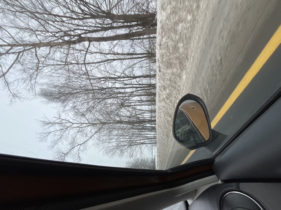 The image depicts a winter scene from the perspective of a vehicle's passenger side, looking forward and to the right, likely in motion. The foreground shows the dark interior trim of a car door, including a portion of a circular design element on the panel and the dark brown/orange frame of the window. A black external side mirror is prominent in the lower middle, reflecting a gold/orange section of the car's body and a faint, distorted reflection of the interior or occupant; a thin crack or scratch is visible on the mirror surface.
Beyond the vehicle, a grey road surface is visible with a solid yellow line running parallel to the direction of travel. To the right of the road, a substantial bank of dirty, melting snow borders the roadside. Further right, a dense line of leafless deciduous trees with thin, bare branches stands against an overcast, light grey sky. These trees extend across the middle and upper right sections of the frame. A faint, lighter area, possibly a snow-covered field or frozen body of water, is discernible between the snowbank and the treeline in the distance. The environment indicates cold, likely sub-freezing, winter conditions. The scene is located in Ширяево, Russia.