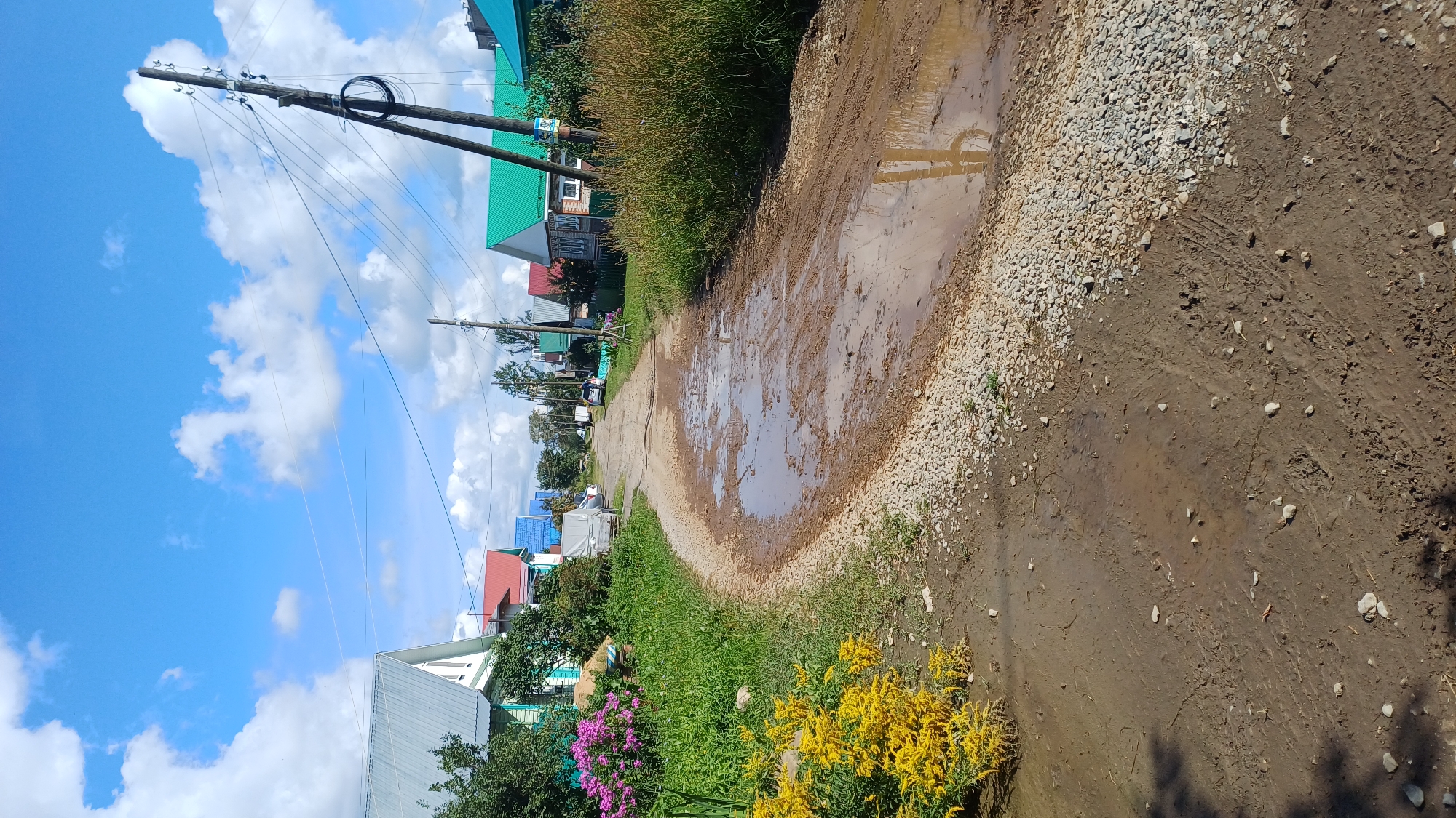 The image depicts a rural road in Izhevsk, Russia, likely in a dacha or village area, characterized by its unpaved and muddy condition. The road is lined with residential houses, many featuring colorful tin roofs (blue, red, green). Dense green foliage, including bushes and tall grass, grows along the sides of the road, with a prominent patch of bright yellow flowers in the foreground on the left, and some pink flowers further down on the left.
A large puddle of muddy water occupies a significant portion of the road in the mid-ground, reflecting the sky and surrounding trees. Tire tracks are visible in the mud, indicating recent vehicle activity. Overhead, power lines stretch across the frame, supported by wooden utility poles, one of which is particularly prominent on the right side of the image. The sky is blue with scattered white, fluffy clouds, suggesting fair weather. Several vehicles are parked or driving slowly on the road in the distance. There are no people visible in the frame. The overall impression is of a somewhat neglected but lived-in rural setting.