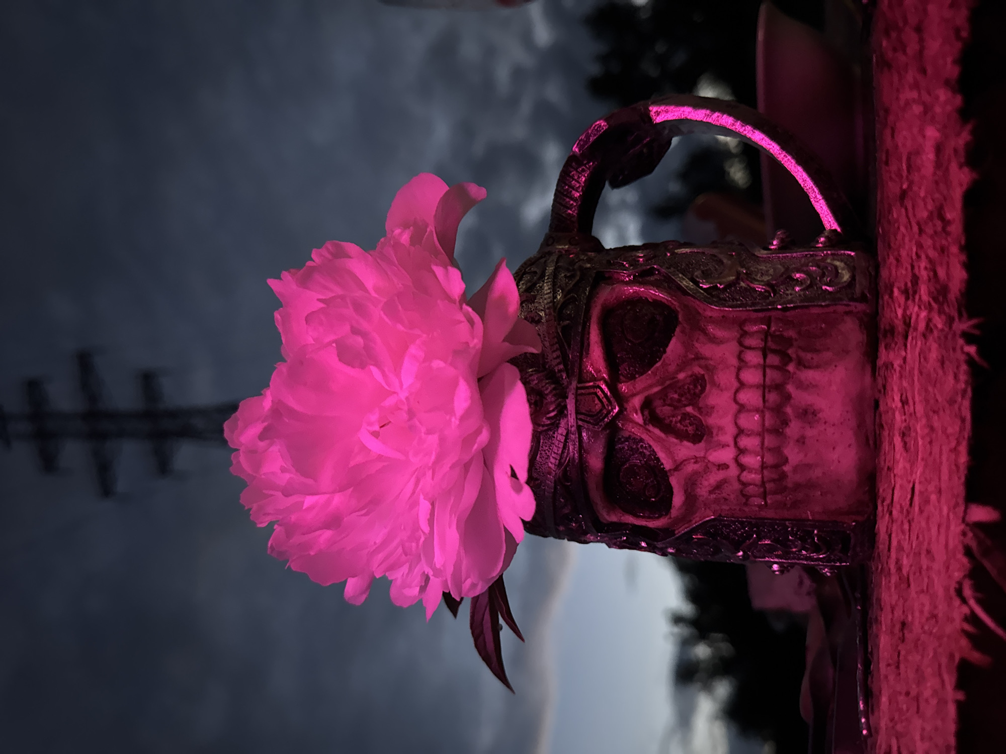 The image depicts a still life of a decorative skull mug adorned with a bright pink peony flower. The mug, detailed with what appears to be a helmet-like design, is illuminated with a magenta light that also casts a glow on the surface it rests upon, which has a textured, possibly fabric, appearance. In the background, the sky is a dark, cloudy twilight, with a blurred silhouette of a large electrical tower visible against it. The scene appears to be outdoors, possibly on a table or ledge, with the faint outlines of trees and another object, possibly a bowl, in the far background. The lighting and composition suggest an artistic or atmospheric setting. There is no visible indication of the city of Chaikovsky, Russia, or any specific urban environment.