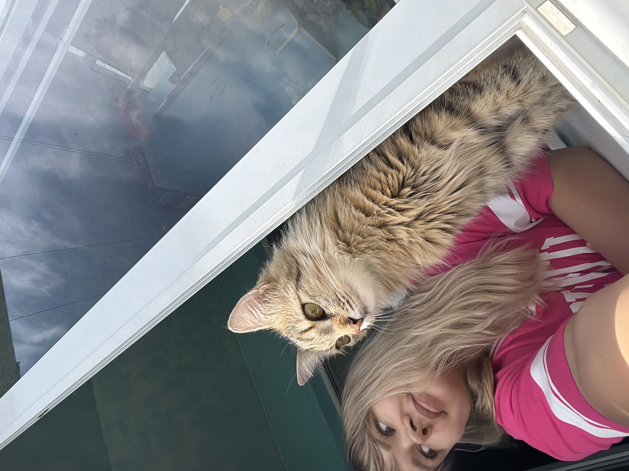 The image is a close-up, selfie-style shot taken from inside a room looking out a window. A young woman with long blonde hair and bangs is in the foreground, wearing a bright pink t-shirt with white stripes on the sleeves. She is looking to her left with a slight smile. To her right and partially obscuring her is a fluffy, tan and brown tabby cat with striking green eyes. The cat is looking to the right, also appearing to observe something outside. The window frame is white and angled diagonally across the image. The background shows a reflection in the glass of a cloudy sky and some indistinct structures, suggesting an outdoor environment. The overall setting is domestic. It's not possible to determine the precise location within the city of Chaikovsky, Russia from the visual information provided.