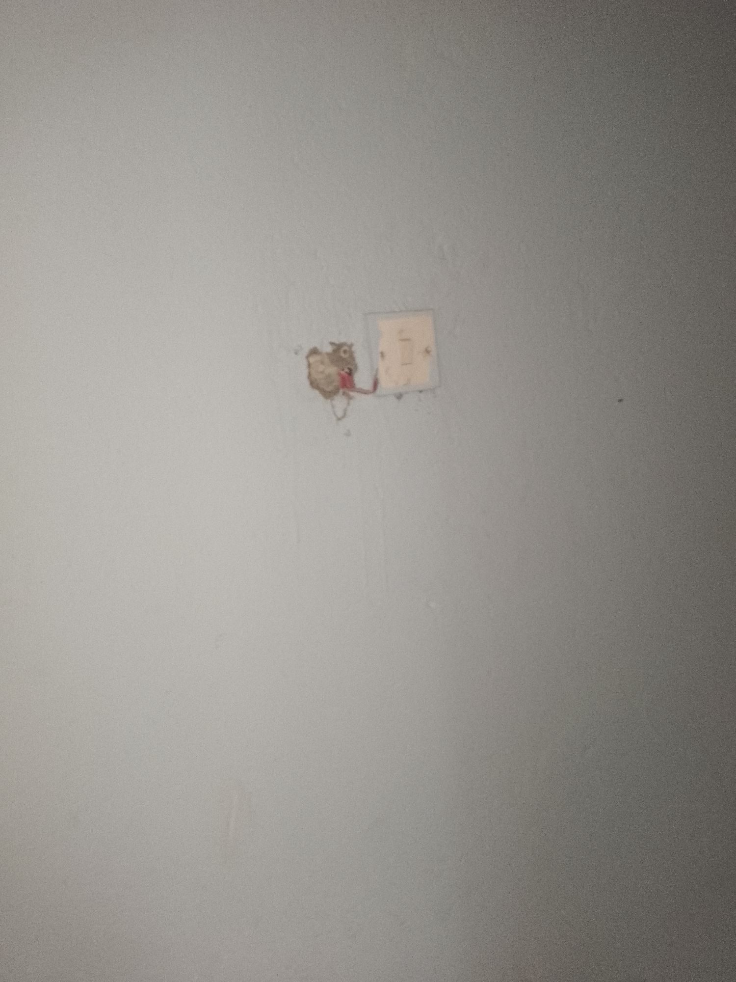 A light-colored wall has a small, damaged area near a light switch that is missing its cover plate. Exposed wires, one of which is red, are visible protruding from the damaged area. The scene is indoors, on a wall.
