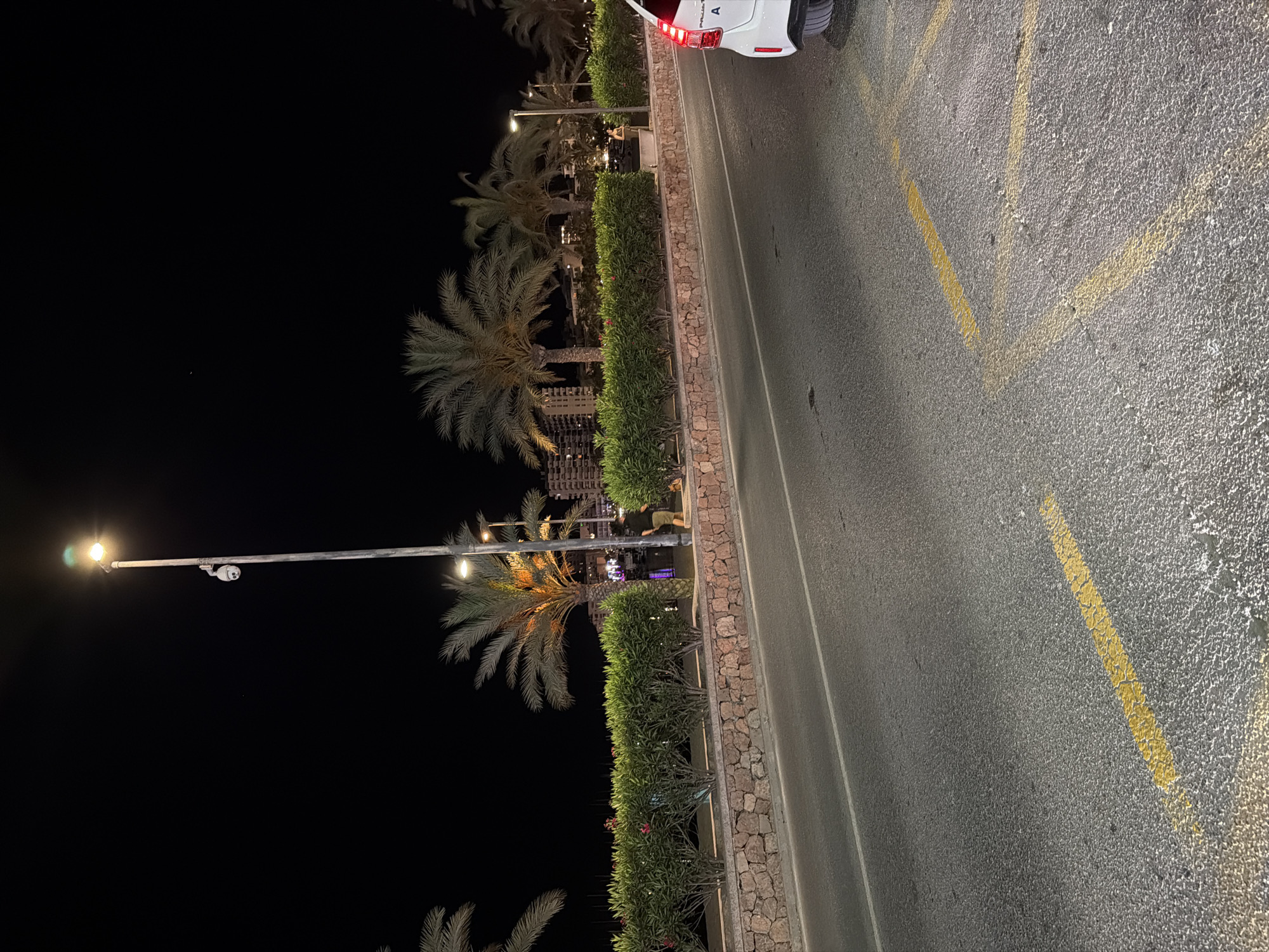 The image captures a street scene at night in Sant Antoni de Portmany, Spain, likely near the promenade. In the foreground, a grey asphalt road is visible with faded yellow parking lines painted on its surface. To the right, the rear quarter panel of a white car is present. Beyond the road, a low stone wall separates it from a densely planted green hedge. Several palm trees with illuminated foliage are scattered throughout the scene, with some buildings and city lights visible in the background. A tall lamppost with a security camera mounted on it stands prominently on the left side of the road, illuminating the area. A single person, a male dressed in dark clothing and shorts, is walking away from the camera on the right side of the promenade, near the hedge. The sky is completely dark, indicating nighttime.