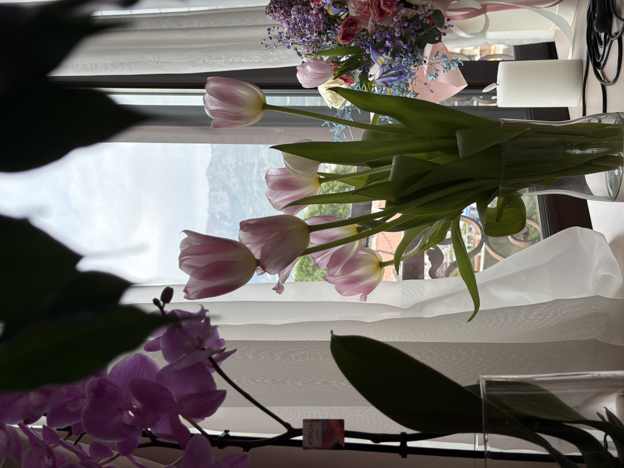 This image captures a serene indoor setting with a scenic outdoor view, likely in Budva, Montenegro, given the mountainous backdrop. The scene is dominated by a variety of flowers and plants positioned near a window.
In the center, a clear glass vase holds several fresh pink and white tulips with vibrant green leaves, standing on a windowsill. To the left and slightly behind the tulips, a large, colorful bouquet features an assortment of roses, irises, and other smaller purple and white filler flowers, wrapped in pink paper, suggesting a recent gift or decoration.
In the foreground, partially out of focus, are rich purple orchids with their distinctive blooms and broad green leaves, adding depth and another layer of floral beauty to the composition. The leaves of these orchids are also visible as dark, silhouetted shapes in the extreme foreground, suggesting an intimate, close-up perspective.
Through the window, a picturesque view of distant mountains or hills can be seen under what appears to be a cloudy or overcast sky. Sheer white horizontal blinds or curtains partially cover the window, diffusing the natural light and creating a soft ambiance.
On the right side of the windowsill, next to the tulip vase, a white pillar candle is visible, along with a coiled black cable. A small, rectangular box with the text "SCENZA" is also noticeable near the orchids in the foreground. The overall impression is one of natural beauty and tranquility, likely captured during daytime.