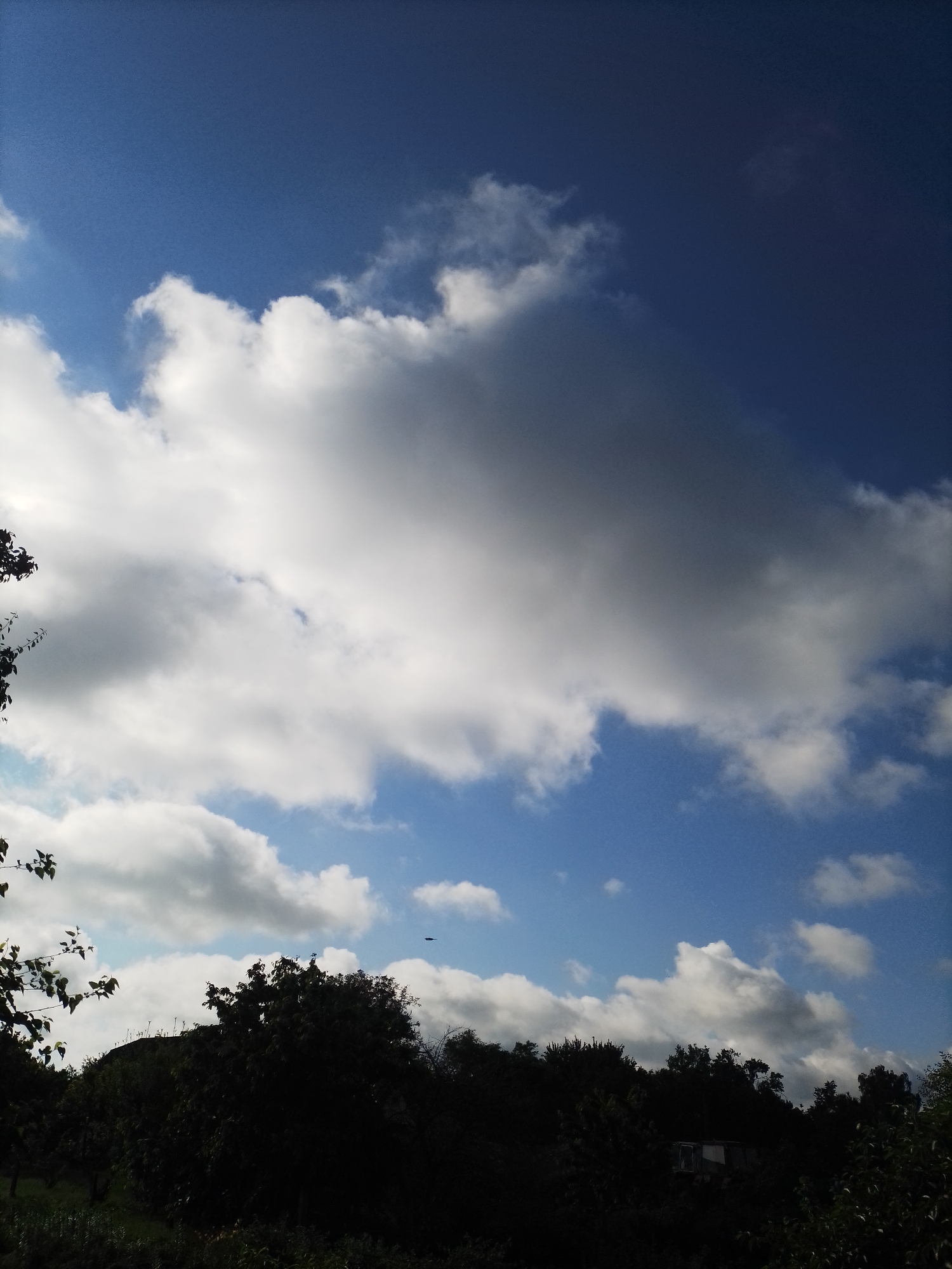 The image depicts a view of the sky and a silhouetted treeline against a bright, partially cloudy blue sky. The scene appears to be an outdoor setting, likely rural, given the dense foliage and lack of prominent urban structures. In the upper right quadrant of the sky, a small, dark, elongated object is visible, possibly an aircraft or drone. The foreground is dominated by a dark silhouette of trees and vegetation, with some indistinct shapes that might be buildings or structures within the treeline. The lower portion of the image shows the ground covered in what appears to be grass and other low-lying plants. The overall lighting suggests it is daytime, with the sun partially obscured by clouds, creating a dynamic interplay of light and shadow. The location in Ustyvytsia, Ukraine, is not visually identifiable from the image itself.