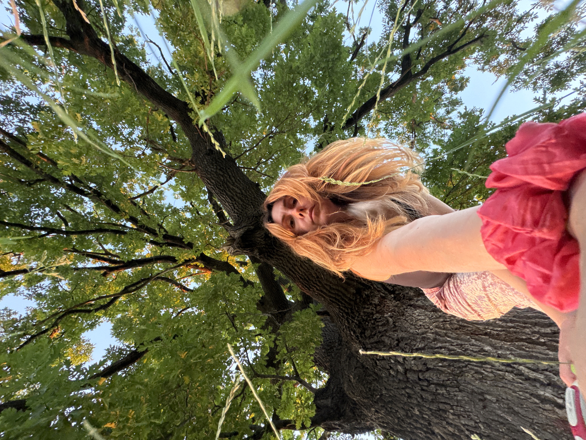 In Sofia, Bulgaria, under the canopy of a large, old tree, a woman with long, auburn hair is pictured from a low-angle perspective. She is wearing a dark top and a pink patterned skirt. Her left arm is extended towards the camera, and her hand is adorned with a bright pink scrunchie. The tree's rough bark dominates the left side of the frame, while its lush green leaves and branches fill the upper portion, contrasting with the clear blue sky. Wisps of grass are visible in the foreground, adding a natural, outdoor feel to the scene. The lighting suggests it is late afternoon or early evening, with the sun casting a warm glow on the woman's hair and the surrounding foliage.