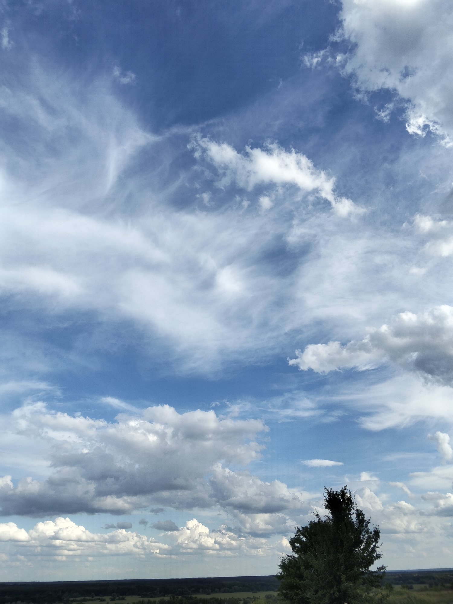 The image depicts a landscape scene with a prominent blue sky filled with various types of clouds, ranging from thin, wispy cirrus clouds to larger, more voluminous cumulus clouds. The lower portion of the image shows a distant, dark green tree in the foreground, with a flat, dark horizon line indicative of land below. This suggests an outdoor environment, likely in a rural or natural setting. The sky is a dominant feature, occupying the majority of the frame, with sunlight filtering through and illuminating the clouds, creating a dynamic and textured appearance. No people or specific structures are visible in the image, only natural elements. The composition is dominated by the sky and the expansive view of the horizon.