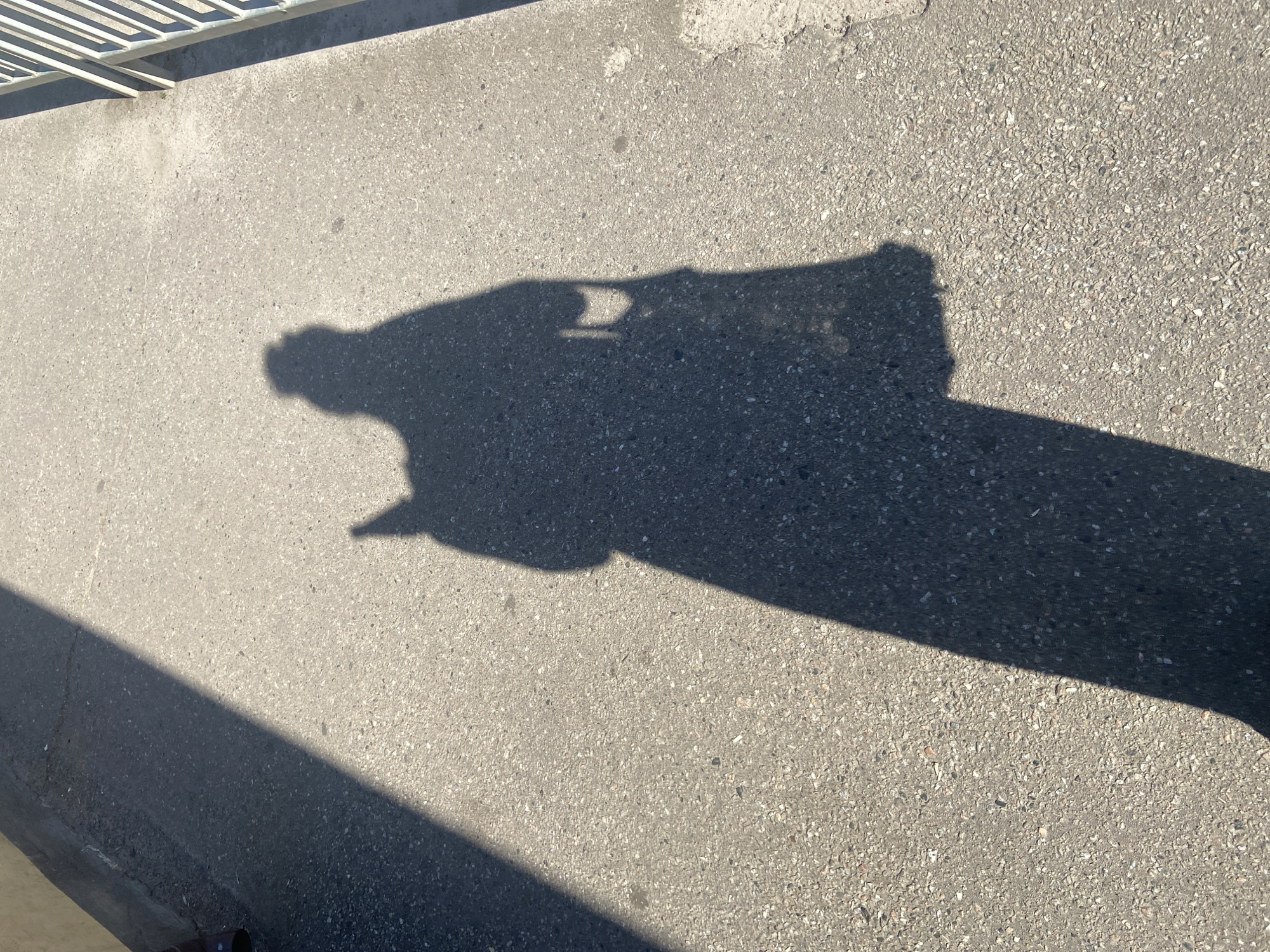 The image displays a shadow of a person on a rough, grey asphalt surface. The shadow suggests the person is holding a camera or phone, as there is a distinct shape resembling a device in their hand. The sunlight casts a long shadow, indicating it is likely morning or late afternoon. The background shows a portion of a white, metallic railing, possibly part of a bridge or walkway. The scene appears to be outdoors, with the texture of the asphalt suggesting an urban or paved outdoor environment. There is no visible text in the image. The overall mood is neutral, focusing on the play of light and shadow on the ground.