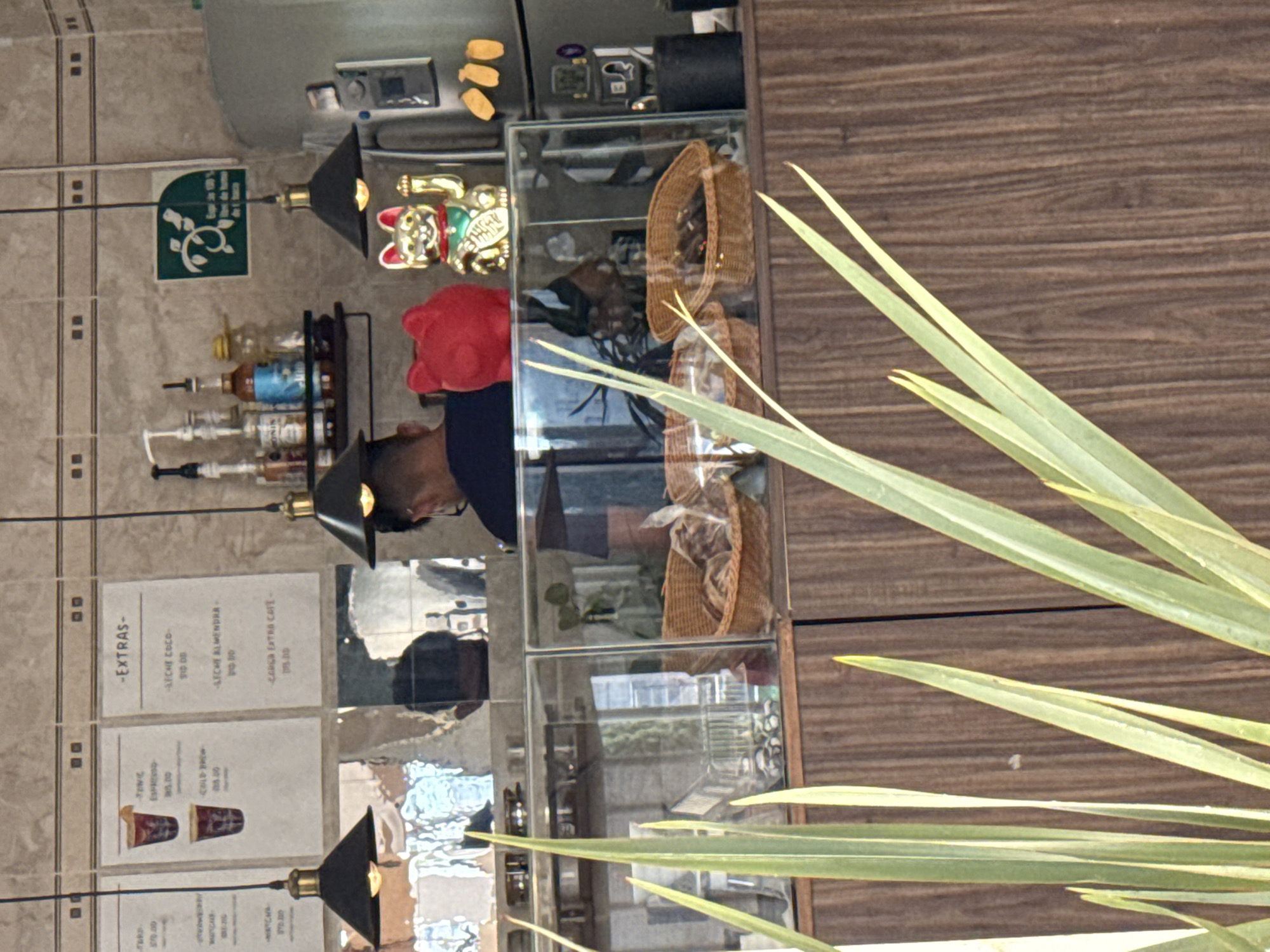 The image depicts the interior of a commercial establishment, likely a cafe, located in San Bernardino Tlaxcalancingo, Mexico. The scene is viewed from a slightly elevated perspective, partially obscured by a foreground plant with long, slender green leaves.
A male individual, seen from behind, is situated behind a counter. He wears a dark-colored shirt and glasses. His reflection is visible in the mirrored or highly reflective surface directly behind the service area.
The counter features a wooden or wood-laminate finish. On top of the counter, a clear glass display case holds two wicker baskets containing individually wrapped baked goods or snacks. A red, stylized cat-shaped piggy bank and a gold Maneki-neko (waving cat) figurine are positioned on top of this glass case. To the far right, a large stainless steel appliance, possibly a refrigerator or coffee machine, is visible, along with a smaller black cylindrical object on the counter.
The wall behind the counter is tiled in a light beige or cream color with darker accent squares. Mounted on this wall are three white menu boards. The central board lists "FRIO ESPRESSO" and "COLD BREW" with associated prices, while the rightmost board is titled "EXTRAS" and includes options like "LECHE COCO" and "LECHE ALMENDRA." A black shelf below the menu boards holds several bottles with pumps and dispensers, likely containing syrups. Two black pendant lights with brass accents hang from the ceiling, illuminating the counter area. A green square sign with a white graphic, resembling a plant motif, is affixed to the wall to the right of the central menu board.