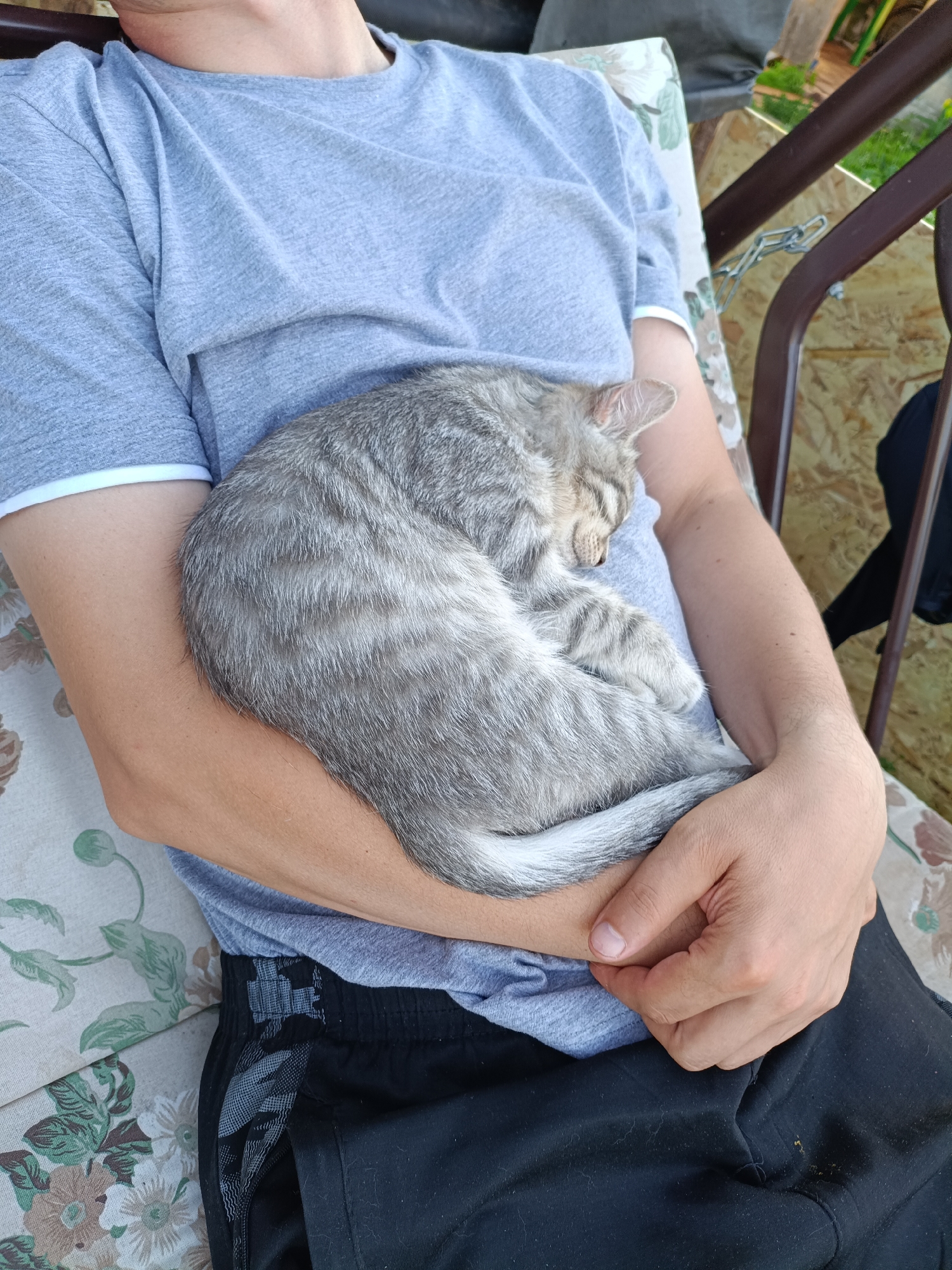A person wearing a grey t-shirt and black shorts is sitting outdoors, holding a small grey tabby kitten curled up in their arms. The kitten appears to be sleeping. They are seated on a patterned cushion on a swing chair. The background is blurred but suggests an outdoor setting with some greenery and wooden structures. The overall scene depicts a moment of rest and affection.