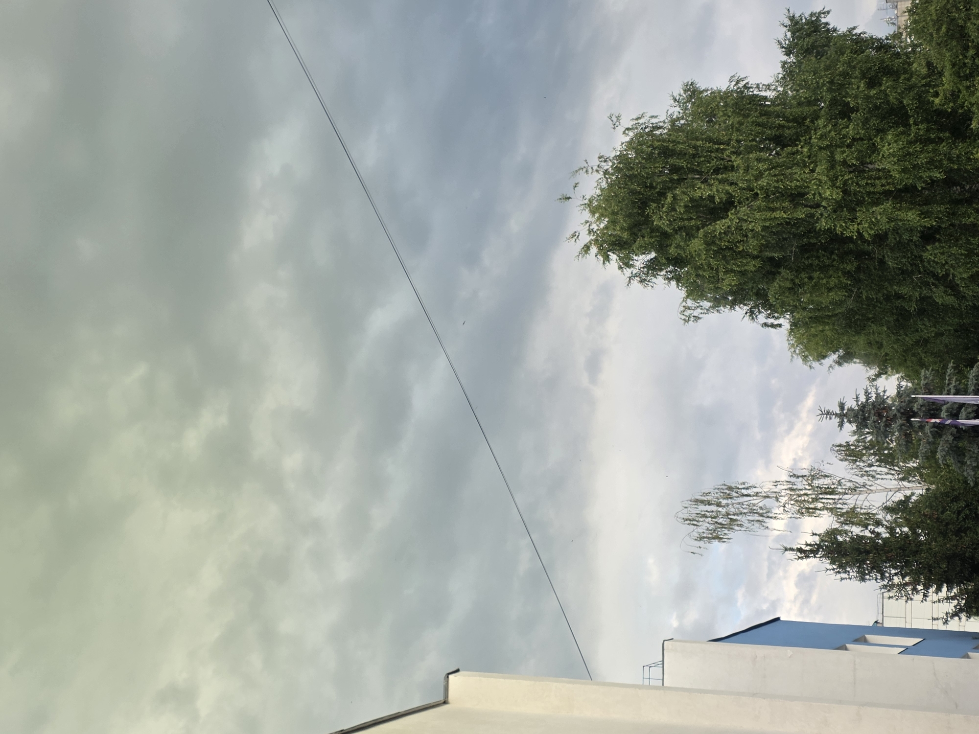 The image shows an outdoor scene in Chaikovsky, Russia, dominated by a cloudy sky. In the foreground, the side of a white and blue building is visible on the left. A power line runs diagonally across the frame from the upper left to the lower right. Several trees, including a large, leafy birch tree on the right and evergreen trees, are present. A few small, dark specks, possibly birds or insects, are visible in the sky. The overall atmosphere is overcast.