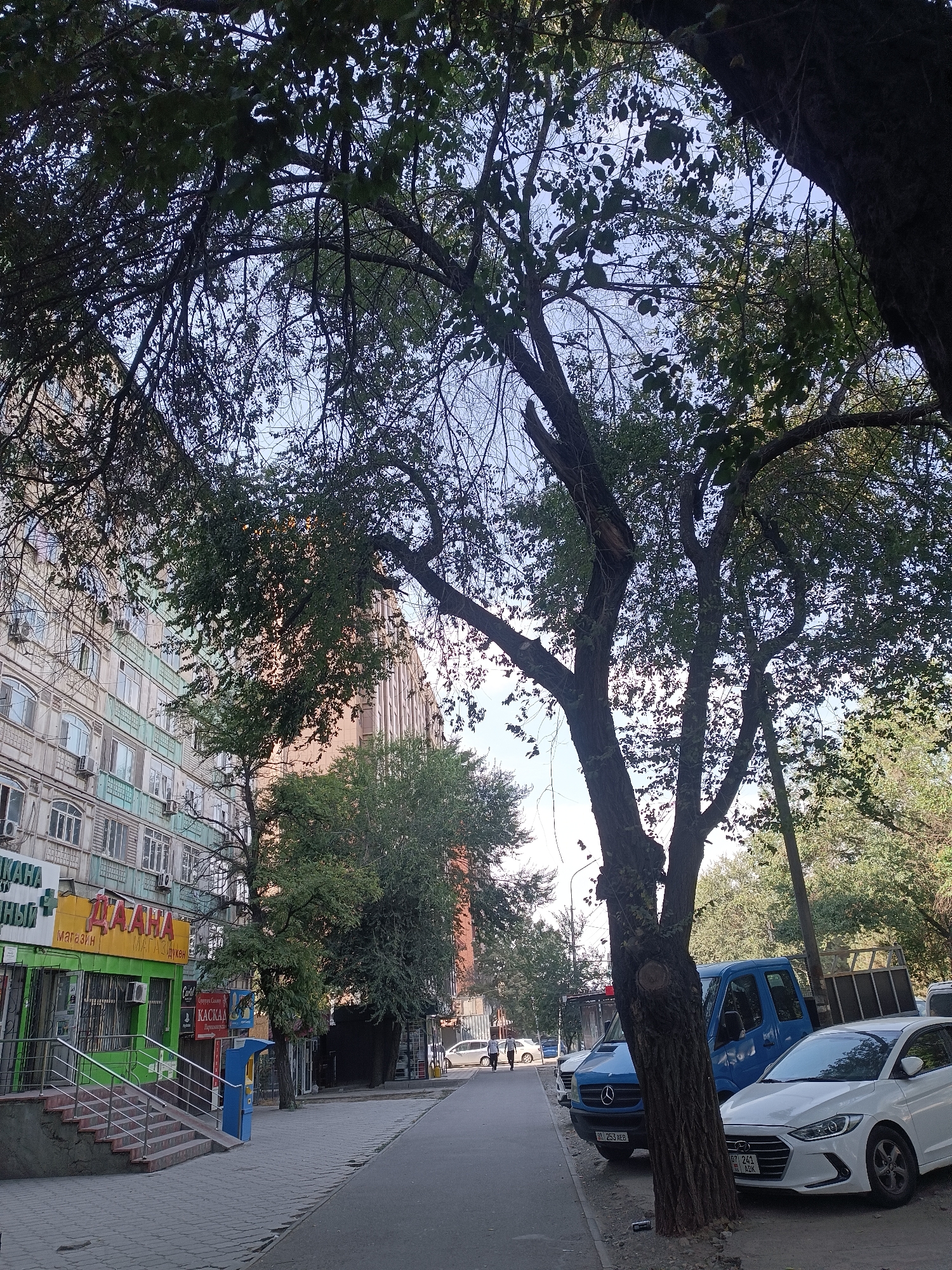 The image shows a street scene in Bishkek, Kyrgyzstan, on a sunny day. A multi-story building with apartment windows and air conditioning units lines the left side of the street. In front of the building, there are several storefronts, including a green store with a yellow sign and a store with a blue ATM. A set of stairs leads up to the entrance of one of the stores. A sidewalk paved with gray tiles runs alongside the street. Several cars are parked along the right side of the street, including a white sedan and a blue van. Large trees with green leaves provide shade over the sidewalk and street. The sky is visible through the branches of the trees, with some sunlight filtering through.