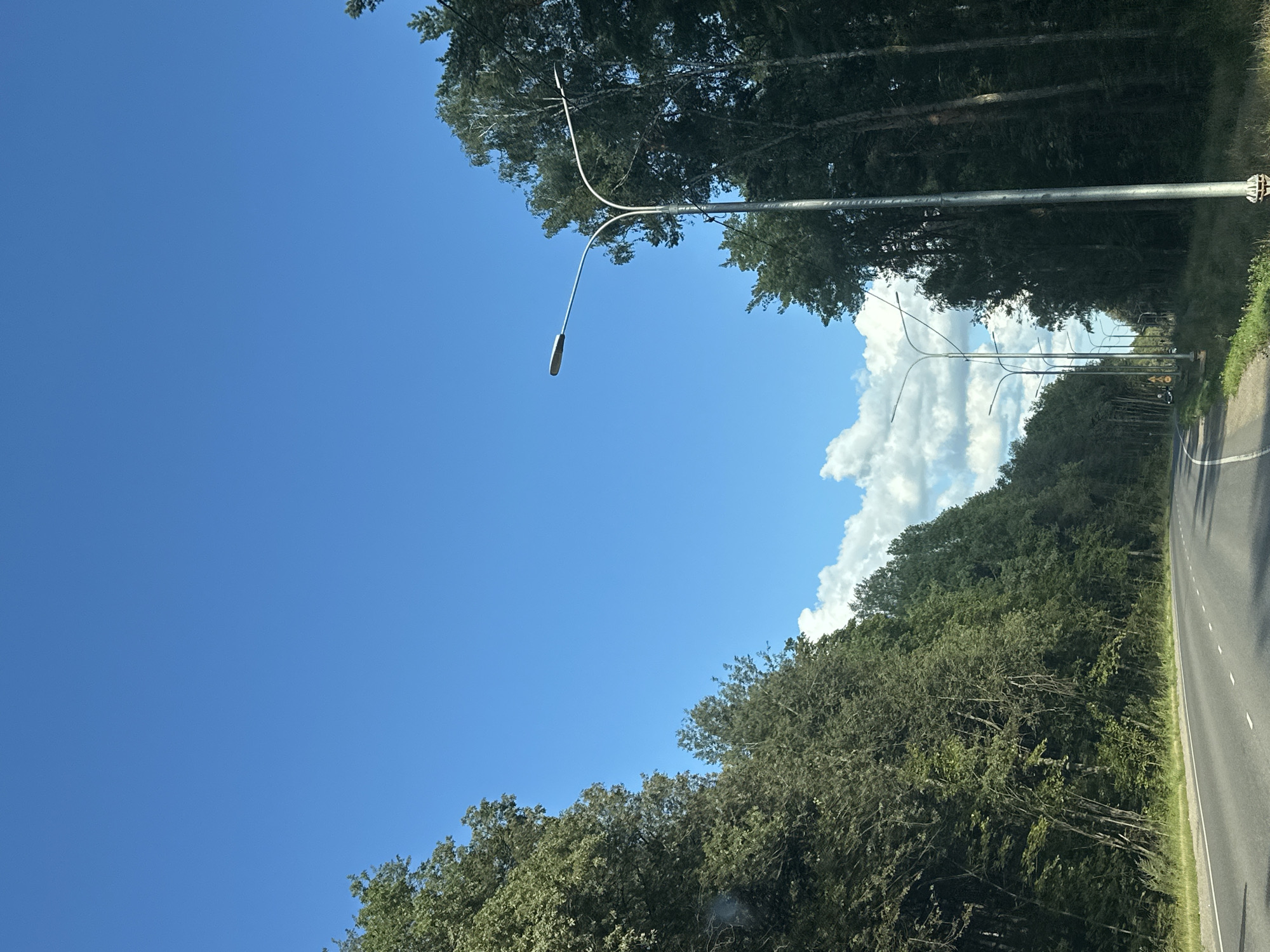 The image shows a road lined with trees under a bright blue sky with scattered clouds. On the right side of the road, there are several modern streetlights. The road appears to be a two-lane highway. The trees are dense and green, suggesting a forested area. The scene is likely captured from a moving vehicle. The location is identified as the city of Dubrovitsy, Russia.