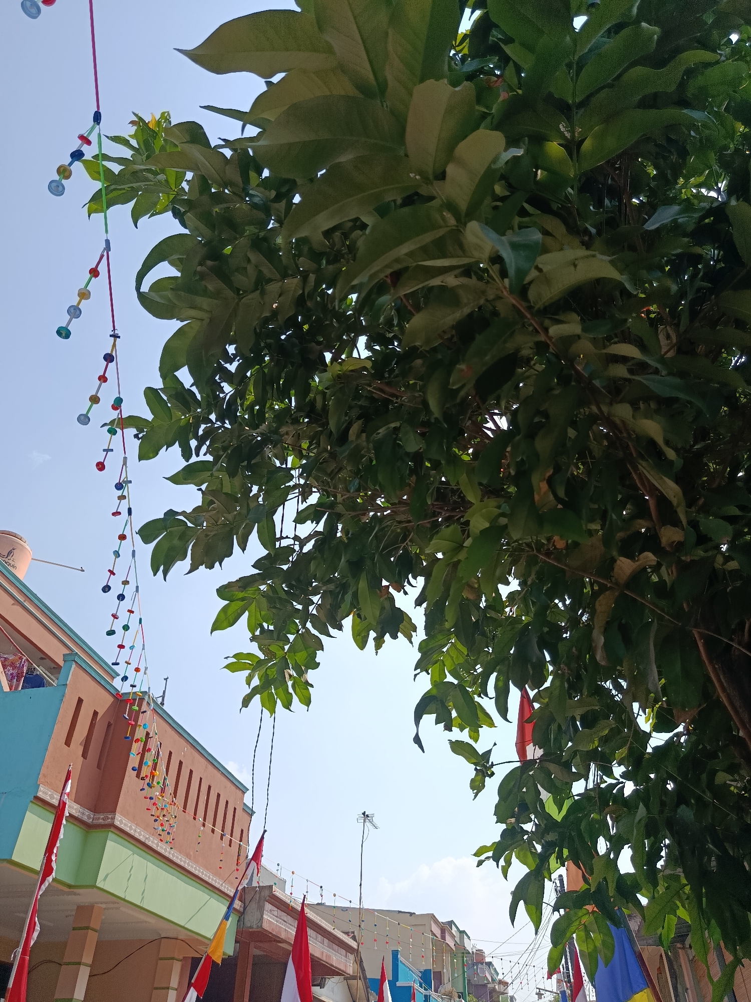 In the city of Wanasari, Indonesia, a vibrant scene unfolds under a clear blue sky. The foreground is dominated by the lush green canopy of a tree, its leaves casting dappled shadows. Hanging from strings, colorful garlands of small, circular ornaments in shades of red, yellow, blue, and white are strung across the scene, adding a festive touch.
To the left, a two-story building with a distinctive architectural style stands out. The lower level is painted in a soft green, while the upper level boasts a warm terracotta hue. The building features intricate decorative elements, including patterned bands and a balcony area with turquoise railings. Red and white flags, possibly national flags, are displayed prominently on the building and also appear further down the street, suggesting a celebratory occasion.
In the background, more buildings can be seen, lining a street that stretches into the distance. A water tank on top of one of the buildings is visible. Antennas dot the rooftops, indicating a residential area. The overall impression is one of a lively community gathering, perhaps a festival or a national holiday, as evidenced by the decorations and flags.