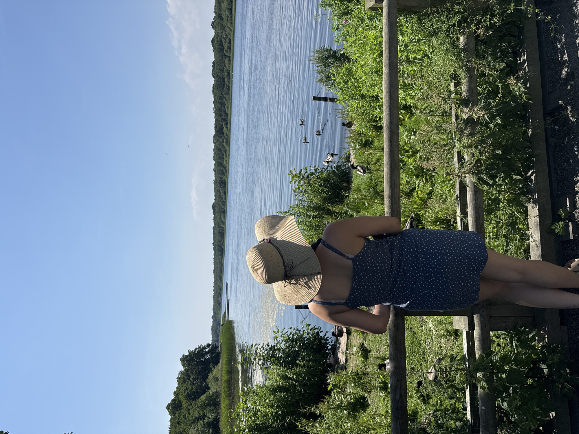 This media file shows a person wearing a wide-brimmed straw hat and a blue polka dot dress, standing by a wooden railing and looking out at a body of water. The person's back is to the camera, and they appear to be enjoying the view.
The scene is set outdoors, with lush green vegetation surrounding the railing. The body of water is calm, with gentle ripples reflecting the sunlight. Several ducks are visible swimming on the water, adding to the serene atmosphere. In the distance, a tree-lined shore creates a natural backdrop.
The lighting suggests it is daytime, likely a sunny day, given the bright sunlight and clear blue sky. The overall mood is peaceful and relaxed, with the individual seemingly taking a moment of quiet contemplation amidst nature. The location is identified as Great Yarmouth, United Kingdom, which, given the water and vegetation, could be a coastal area, a lake, or a riverbank. There is no visible text in the media file.