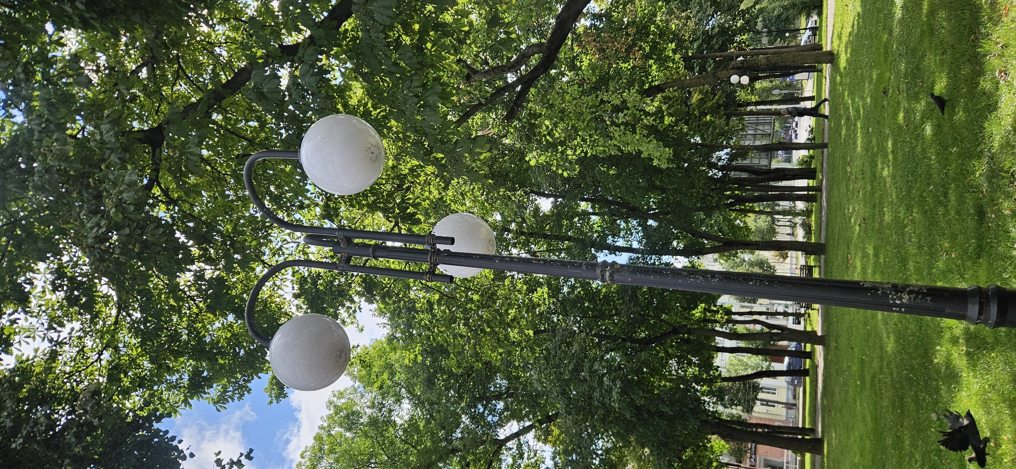 The image captures a scene in Vitsebsk, Belarus, likely a park or public square. Dominating the foreground is a black lamppost with three white spherical lamps. Lush green trees with dense foliage surround the lamppost, creating a dappled light effect on the manicured green grass below. In the background, a pathway is visible, with a lone person walking. To the left, buildings line the edge of the green space, and parked cars suggest a street nearby. Two birds are present in the grassy area, one in flight and another perched on the ground. The sky above is a clear blue with scattered white clouds.