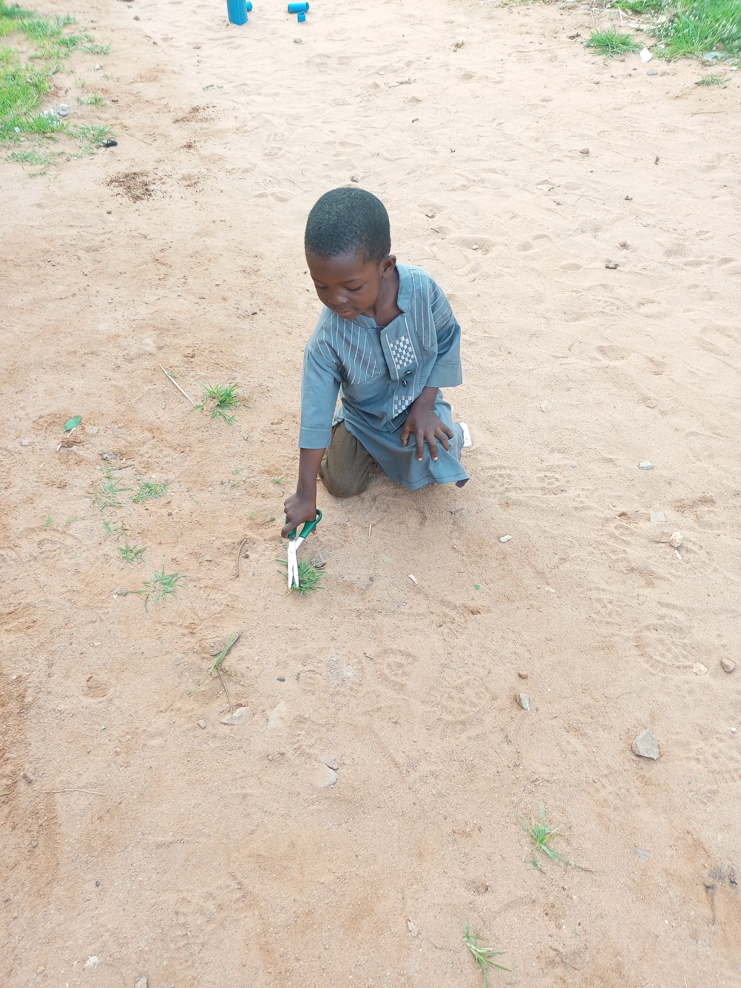 In Tempure, Nigeria, a young boy is kneeling on a sandy ground, focused on cutting grass with a pair of scissors. He is wearing a grey, patterned traditional outfit. The environment is characterized by dry, sandy soil with patches of sparse green grass and scattered small stones. In the background, some blue PVC pipes are visible.