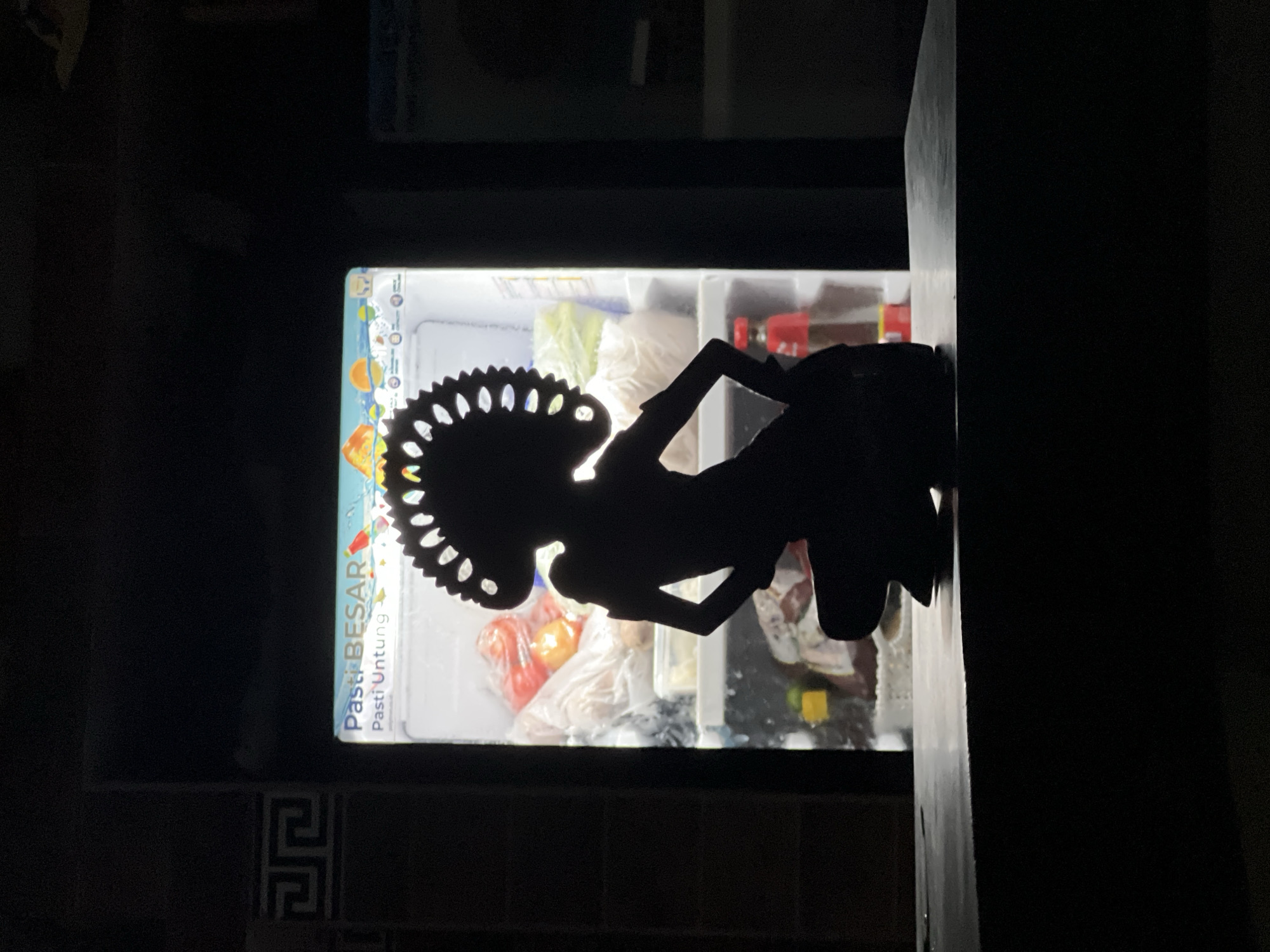 A dark, dimly lit scene features a refrigerator as the primary light source, with an opened door revealing food items inside. The refrigerator door is partially obscured by a dark shadow in the shape of a wayang kulit (Indonesian shadow puppet). The refrigerator is located in the city of Canggu, Indonesia. The refrigerator door has a sticker with the words "PASTI BESAR" and "Pasti Untung" visible on it. The surroundings are mostly dark, with a hint of what appears to be a tiled wall or countertop visible below the refrigerator.