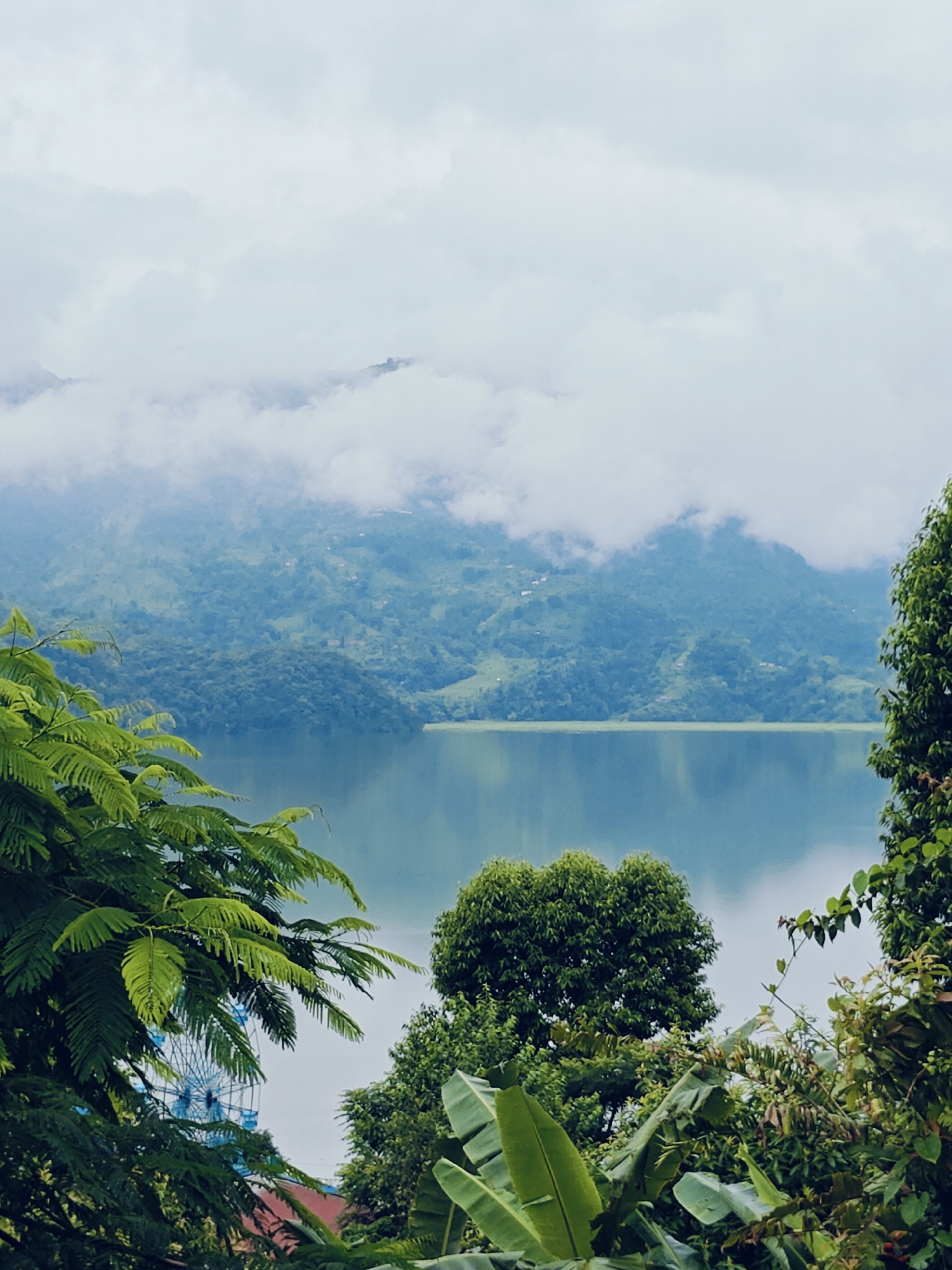 This is a vertical, medium shot of the Phewa Lake in Pokhara, Nepal. The lake is calm and reflects the overcast sky and the surrounding lush green hills. The hills are covered in trees and small structures, suggesting a populated area. In the foreground, dense foliage of various green plants frames the scene, including large, broad leaves and feathery ferns. A portion of a blue Ferris wheel is visible through the leaves on the left side of the image, peeking above a red-roofed building. The sky is cloudy and light, contributing to a soft, diffused light across the landscape. There are no people visible in the image.
