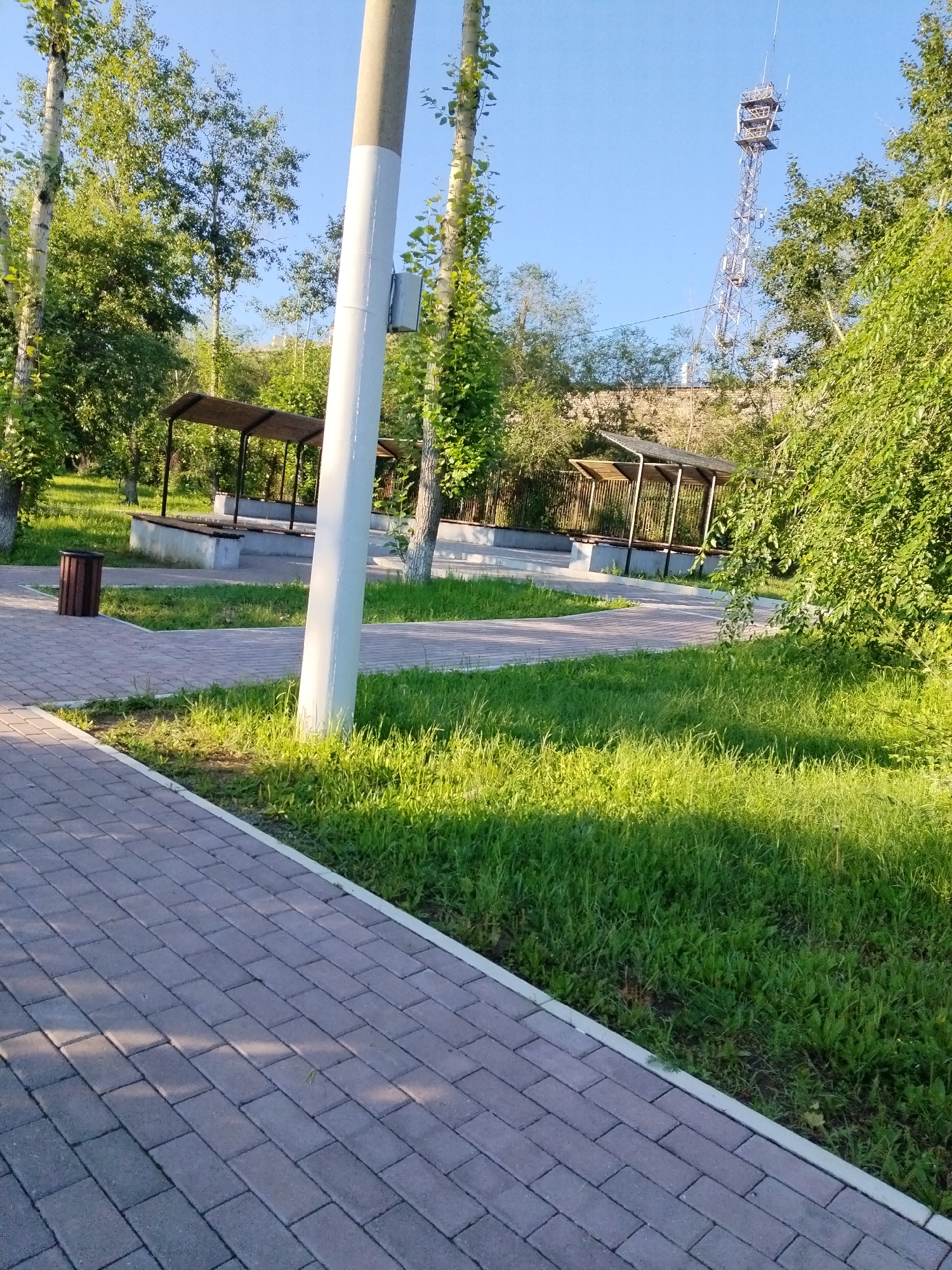 This image captures a sunny day in a park setting. A paved walkway with rectangular bricks curves through lush green grass. To the left, a dark brown trash can stands beside the walkway. In the middle ground, two covered picnic areas with wooden benches are visible, surrounded by trees and vegetation. A tall, white utility pole is prominent in the foreground, to the right of the walkway. In the background, a lattice-like metal tower with antennas stands against a clear blue sky, partially obscured by trees. The scene suggests a public outdoor space in Chita, Russia, possibly a park or recreational area, likely during warmer months due to the vibrant greenery and sunlight. There are no people or animals present in the image.