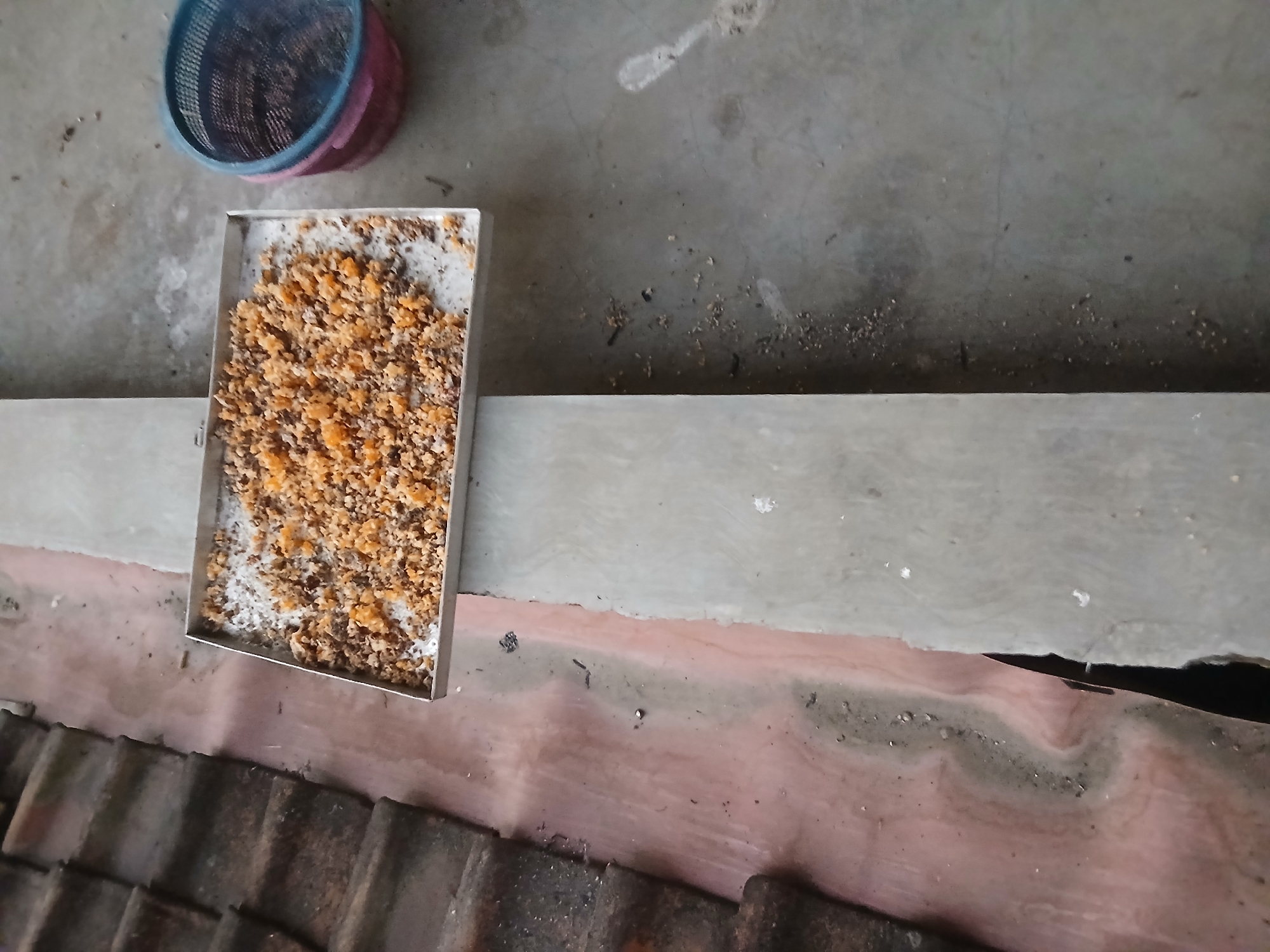 An overhead, eye-level, medium shot captures a rectangular metal tray filled with crumbled orange and brown material, possibly dried food or compost, resting on a textured concrete ledge. To the left, a section of weathered, dark brown roof tiles is visible, juxtaposed with a dusty, reddish-pink surface. To the right of the tray, a blue and pink plastic colander sits on a concrete ground scattered with debris. The scene appears to be outdoors, likely in a yard or rooftop area. The overall lighting is even, suggesting daylight. There are no people visible in the frame.