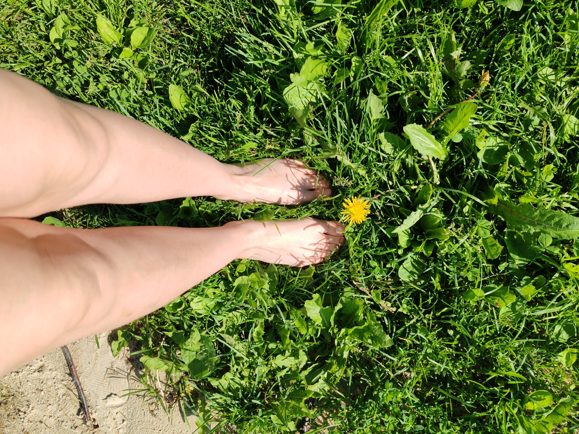 Two bare human legs and feet are visible in the frame, positioned on a patch of green grass. One foot is closer to the bottom right of the image, and the other is further up and to the left. A single yellow dandelion is located to the right of the top foot. The surrounding environment consists of lush green grass and some lighter-colored ground or sand on the left side of the frame. The lighting suggests it is daytime. There is no indication of the city of Чухлэм, Russia, within the image itself.