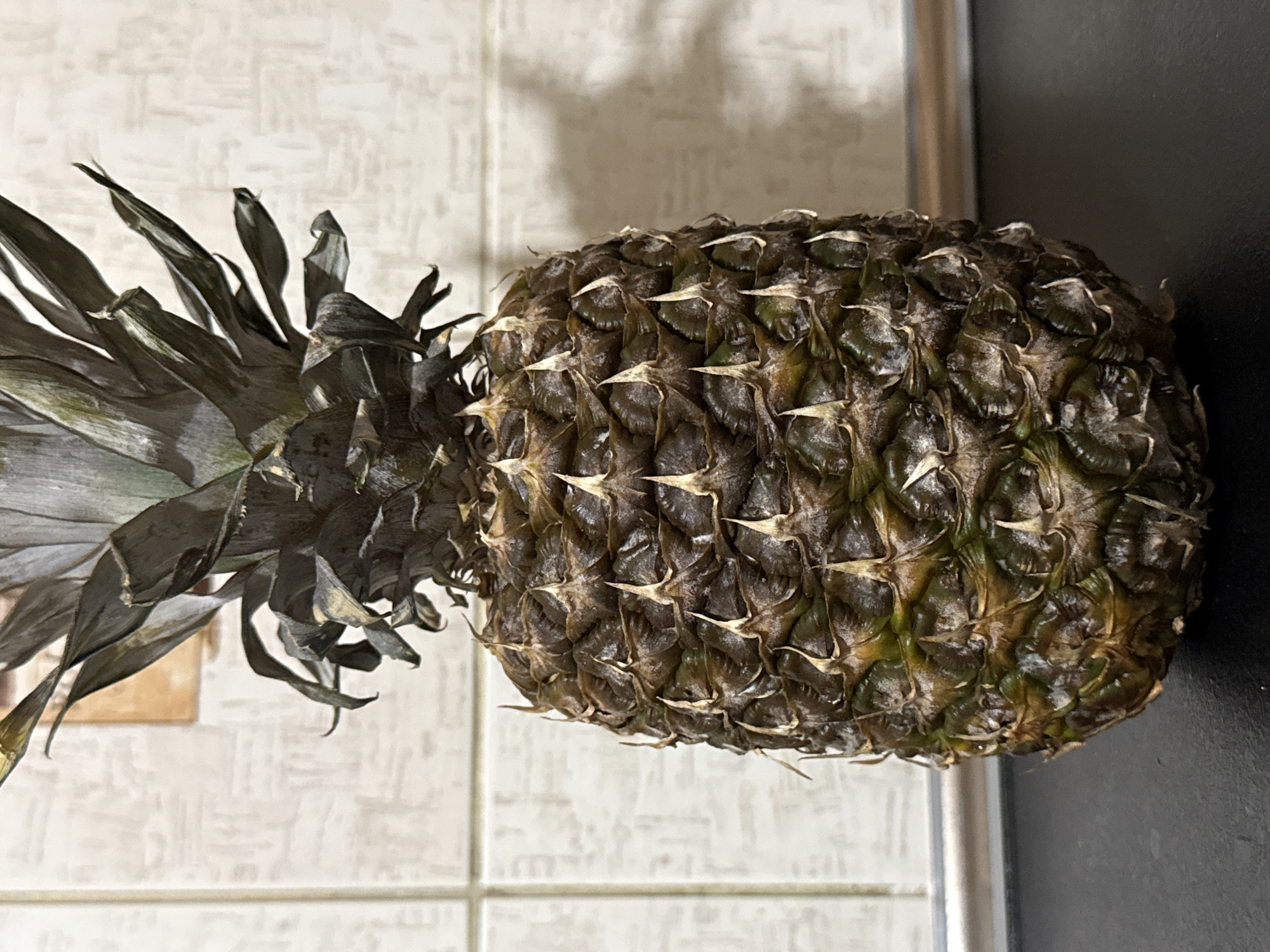 A whole pineapple is positioned centrally in the frame, resting on a dark, reflective surface. The pineapple has a rough, segmented rind with a spiky texture. Its crown of leaves is dark green and extends upwards. Behind the pineapple, a tiled wall with a neutral, textured pattern serves as the background. A metallic strip runs horizontally across the lower part of the wall, just above the dark surface. The lighting suggests an indoor setting, possibly a kitchen counter, and casts a shadow of the pineapple to the right on the tiled wall. There are no people or animals present in the image, and no specific actions are taking place. The scene is static and appears to be a still life composition. The provided information about the location in Cahul, Moldova, cannot be visually corroborated from the image itself.
