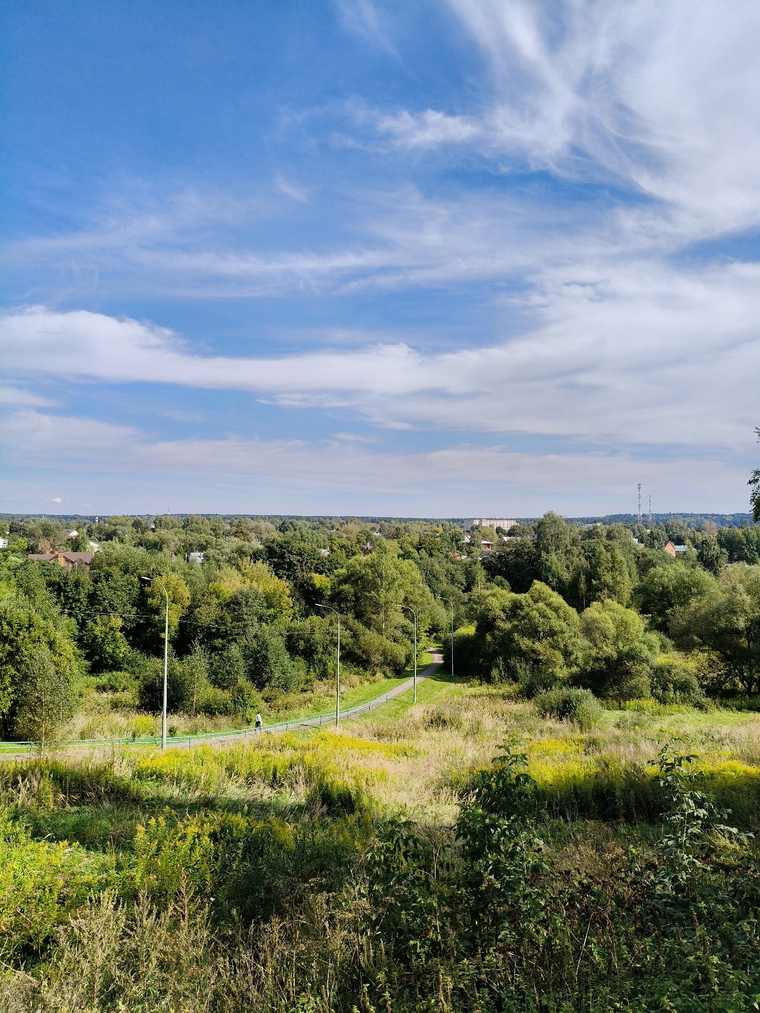 This is a wide shot of a landscape under a bright blue sky with wispy white clouds. In the foreground, there is tall, dry grass and some green foliage. A paved path with a green railing winds through the scene, with a single person on a bicycle riding on it. The path is bordered by grass and scattered yellow wildflowers. In the middle ground, a dense forest of green trees stretches across the landscape, with several houses and buildings partially visible through the foliage. In the distance, more trees and buildings can be seen, along with two tall communication towers. The scene appears to be in a suburban or rural area.