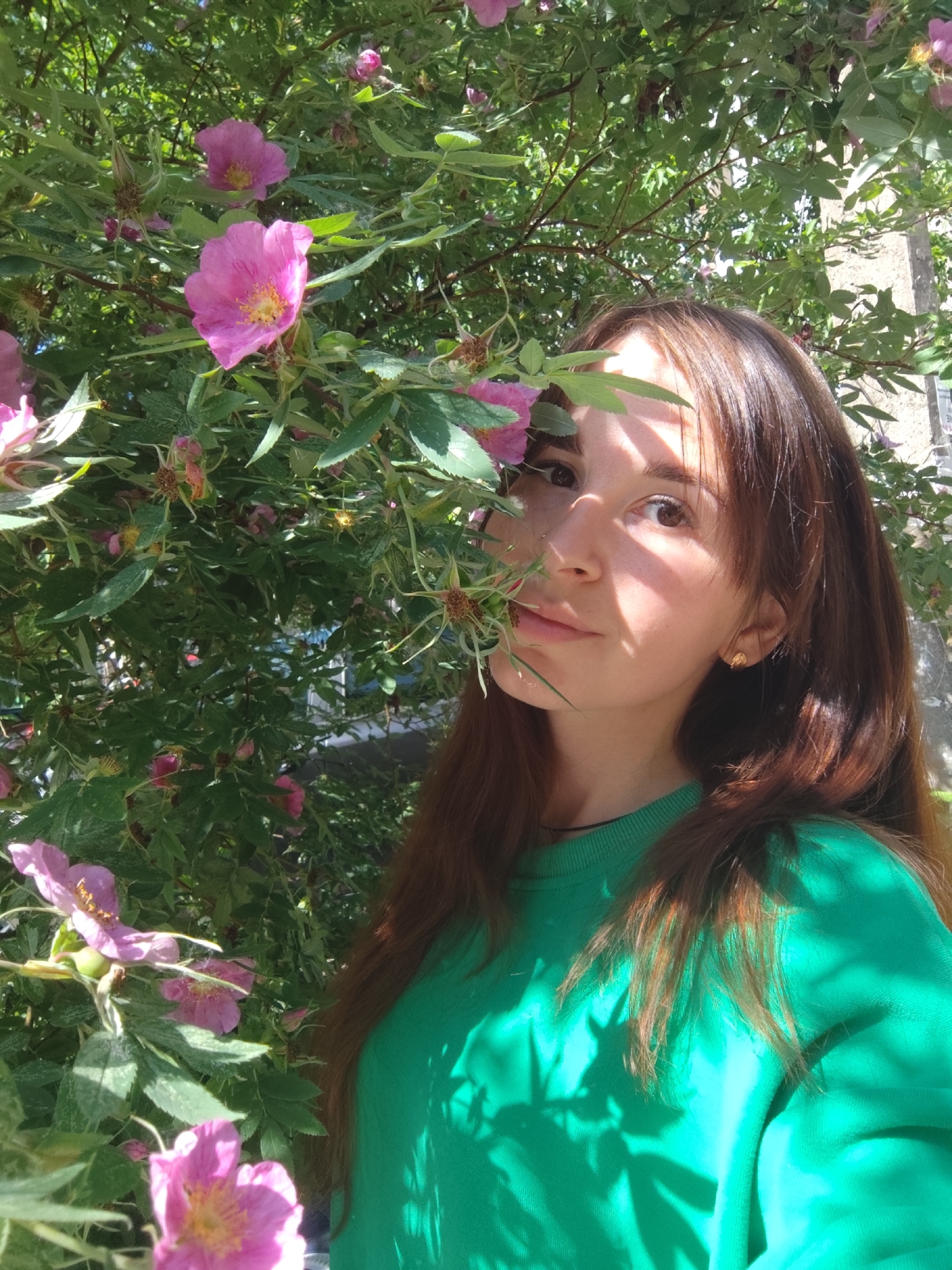 A young woman with long, dark brown hair and a green long-sleeved sweatshirt is positioned outdoors amidst a dense flowering shrub, identified as a rose bush with multiple bright pink, five-petaled flowers with yellow centers and vibrant green leaves. She looks directly at the camera with a neutral expression. Strong sunlight illuminates the scene from the right (viewer's left), casting distinct, angular shadows from the leaves across her face, particularly on her forehead, nose, and left cheek. A small, gold-colored earring is visible in her right ear. The dense foliage of the shrub fills most of the frame, with the upper right corner revealing a portion of a light-colored, possibly concrete or stucco, building structure in the background. This scene is located in the city of Chaikovsky, Russia.