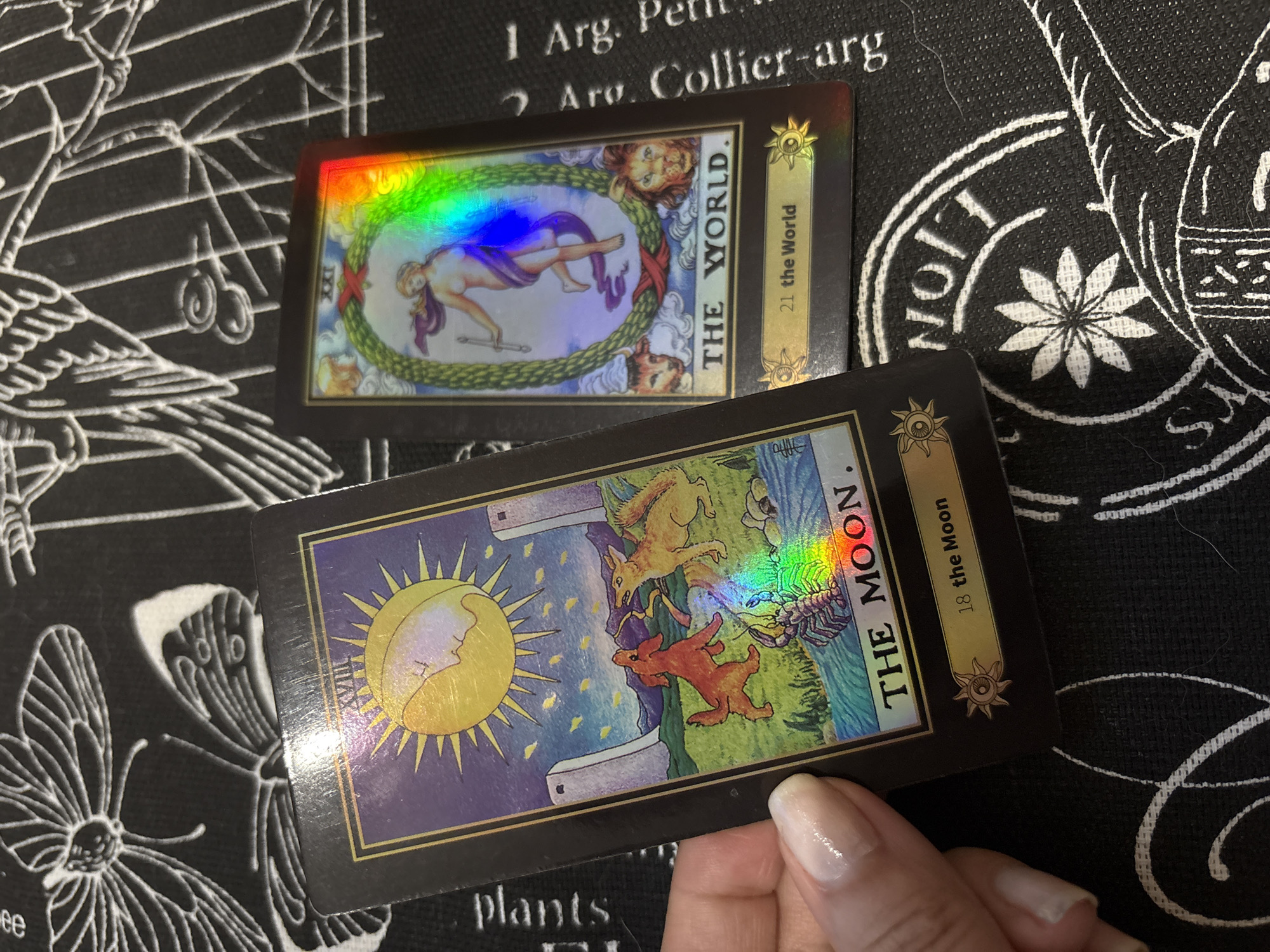 The image shows two tarot cards displayed on a dark, patterned fabric surface. A human hand, with manicured nails painted with a clear or light-colored polish, holds the bottom-left corner of the card on the left. This card is "The Moon," designated as Number 18 (Roman numeral XVIII), depicting a celestial body combining sun and moon, two white towers, two canines (one reddish-brown, one tan) howling, and a crayfish emerging from a body of water. The card on the right, lying flat, is "The World," designated as Number 21 (Roman numeral XXI), featuring a central nude figure with a purple sash holding a wand within a large green wreath, surrounded by four traditional tarot symbols (a lion, a bull, an eagle, and an angel/humanoid figure) in the corners. Both cards exhibit strong iridescent, rainbow-colored reflections on their surfaces, indicating a holographic or reflective finish, or a direct light source. The underlying fabric is dark, likely black, adorned with white line-art patterns resembling insects (butterflies/moths) and intricate scrollwork, along with partial English text such as "Plants" on the left and fragments like "I Arg. Peril. COLLIER arg" on the right. There is no visual information within the image that indicates a location in the city of Izhevsk, Russia.