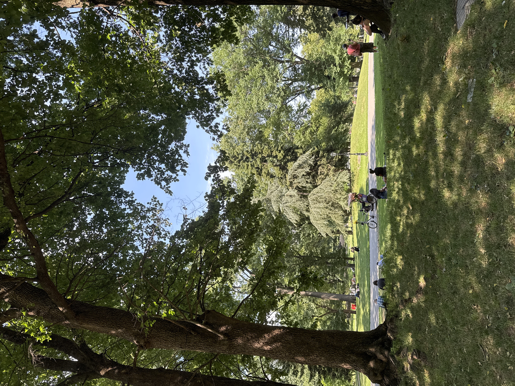 This media file captures an outdoor scene in a park, likely in New York, United States of America, on a sunny day. The composition is dominated by the lush green canopy of mature trees, with sunlight dappling through the leaves, creating a serene and peaceful atmosphere. A paved path winds through the park, and a group of people are gathered along its edge, some sitting on the grass, others standing.
The people appear to be enjoying a relaxed day outdoors. Some are engaged in conversation, while others seem to be observing their surroundings. A bicycle is visible near a group of people, suggesting leisurely activity. The time of day appears to be late morning or early afternoon, given the bright sunlight and distinct shadows cast by the trees. The weather is clearly pleasant and conducive to outdoor gatherings.
The setting is a well-maintained park with ample green space and mature trees, characteristic of urban parks in New York. There are no visible signs or text within the frame. The overall impression is one of a tranquil community gathering in a beautiful natural setting.