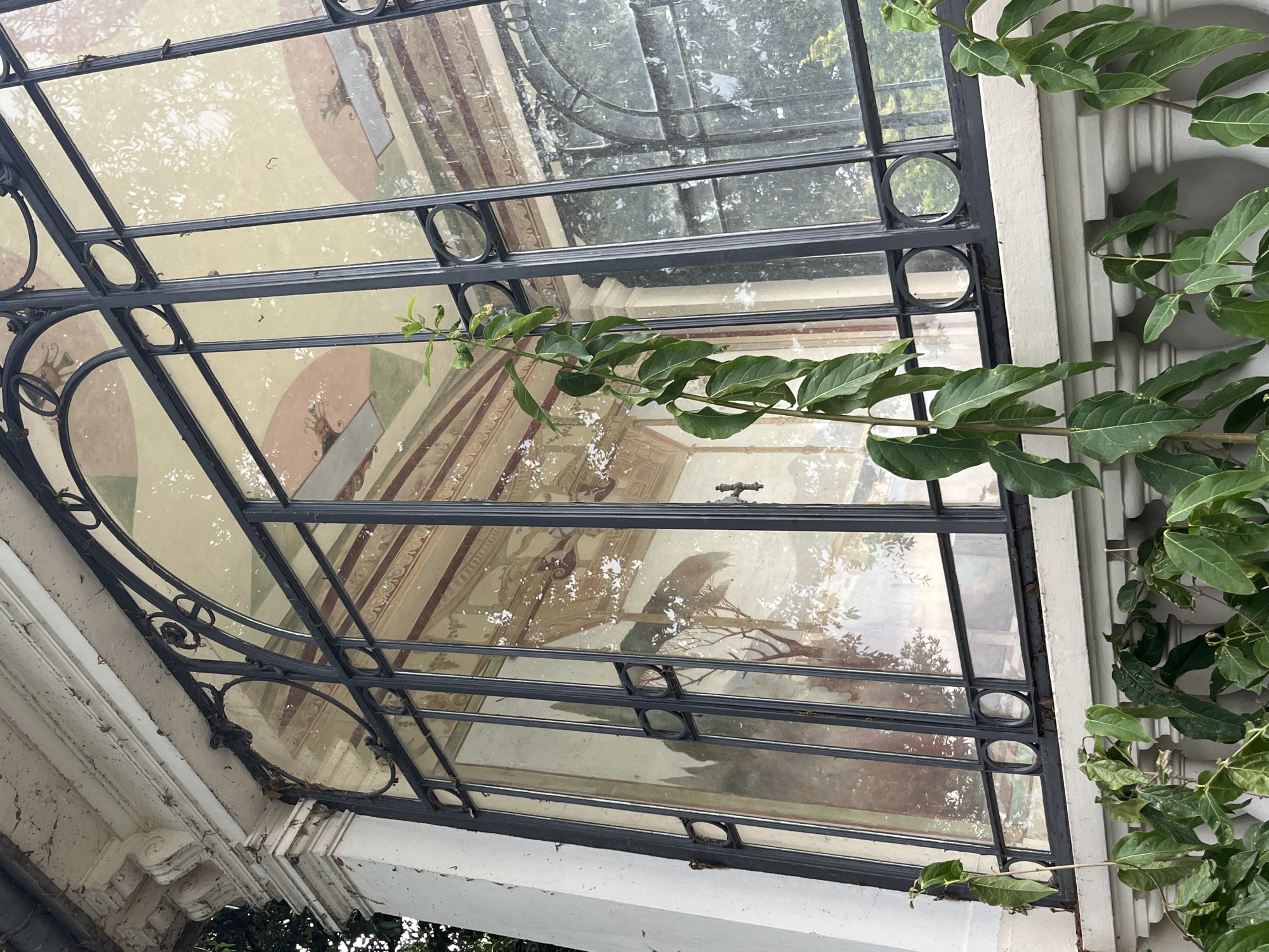 A tall green plant with broad leaves is in the foreground, obscuring part of a large, ornate window. The window is made of black metal bars and glass panes. Behind the glass, a mural depicting a pastoral landscape with trees and classical motifs is visible. The building appears to be old, with weathered stone and decorative architectural details. The window reflects trees and sky, suggesting an outdoor setting. The overall impression is one of decay and natural overgrowth. The image is taken in Montreux, Switzerland.