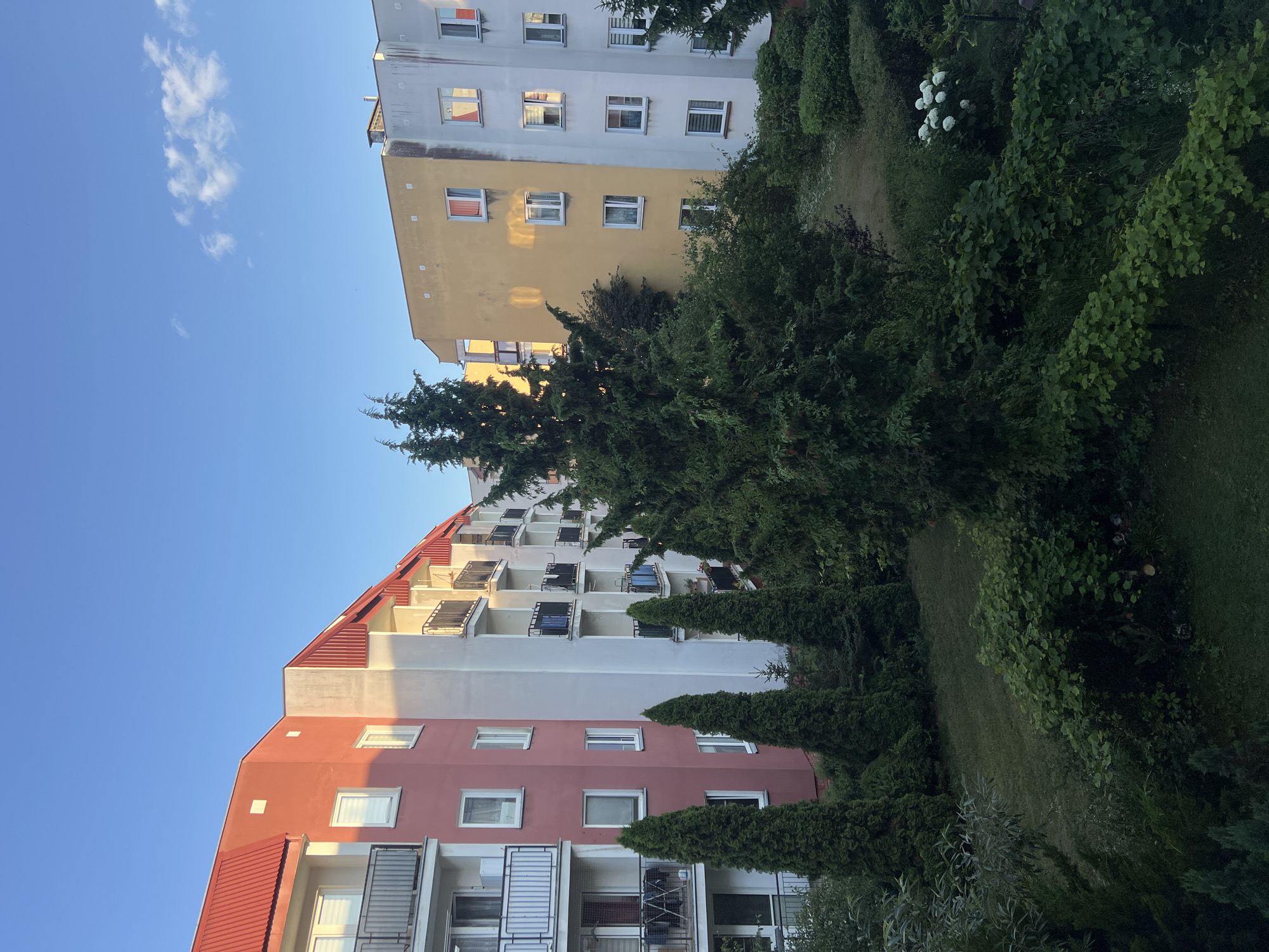 The image shows an exterior view of residential buildings with a clear blue sky. The buildings are tall and appear to be apartment blocks, with multiple stories featuring balconies and windows. One building is painted in a salmon pink and white color scheme, with a red sloped roof. Another building behind it is painted in yellow and white. The scene is partially obscured by lush green trees and bushes, suggesting a well-maintained outdoor area. Some of the trees are tall and conical, resembling cypress or fir trees, while others are broader and leafier. In the background, a few fluffy white clouds are visible in the sky. The sunlight indicates it is likely daytime, possibly late afternoon due to the angle of the shadows. The setting appears to be a residential area in Kleosin, Poland, with a focus on the architecture of the buildings and the surrounding greenery. There are no people visible in the image.