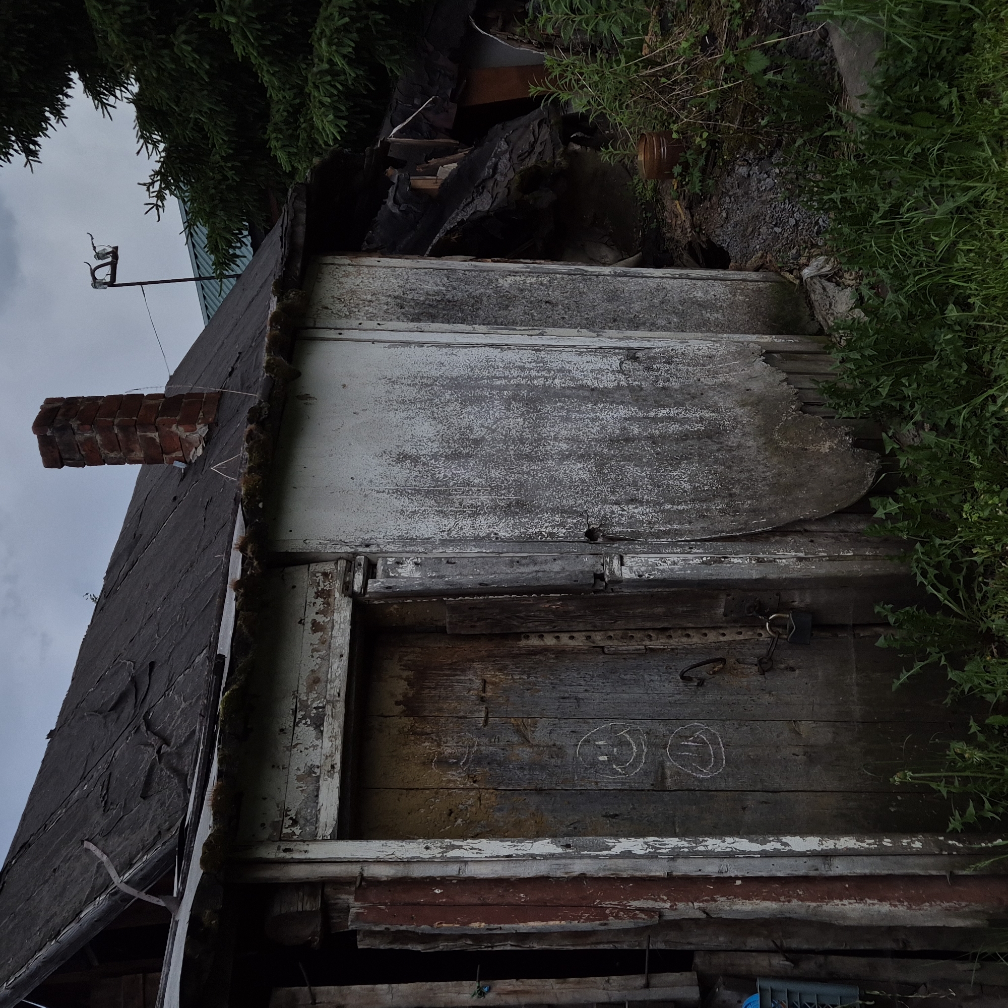 The image shows a dilapidated wooden structure, likely a shed or outbuilding, with a weathered appearance. The structure is set against a backdrop of greenery and an overcast sky.
The main subject is the shed itself, characterized by its peeling white paint and aged wooden planks. There are visible signs of disrepair, including a damaged section of the roof and a partially broken door. A brick chimney protrudes from the dark-shingled roof. Two circular, smiley-face-like drawings in white chalk are visible on the wooden door. A rusty padlock and some other metal objects are attached to the door.
The scene appears to be outdoors, with dense green foliage encroaching on the right side of the structure. A dark, dense evergreen tree is visible in the upper left corner. The overall impression is one of neglect and age. The lighting suggests it might be a cloudy day, possibly late afternoon or early evening, given the subdued light.
There are no people visible in the image, nor any clear indication of a specific activity or event taking place, beyond the general state of disrepair. The location is identified as Novoselka, Russia. No legible text is present in the image other than the chalk drawings.