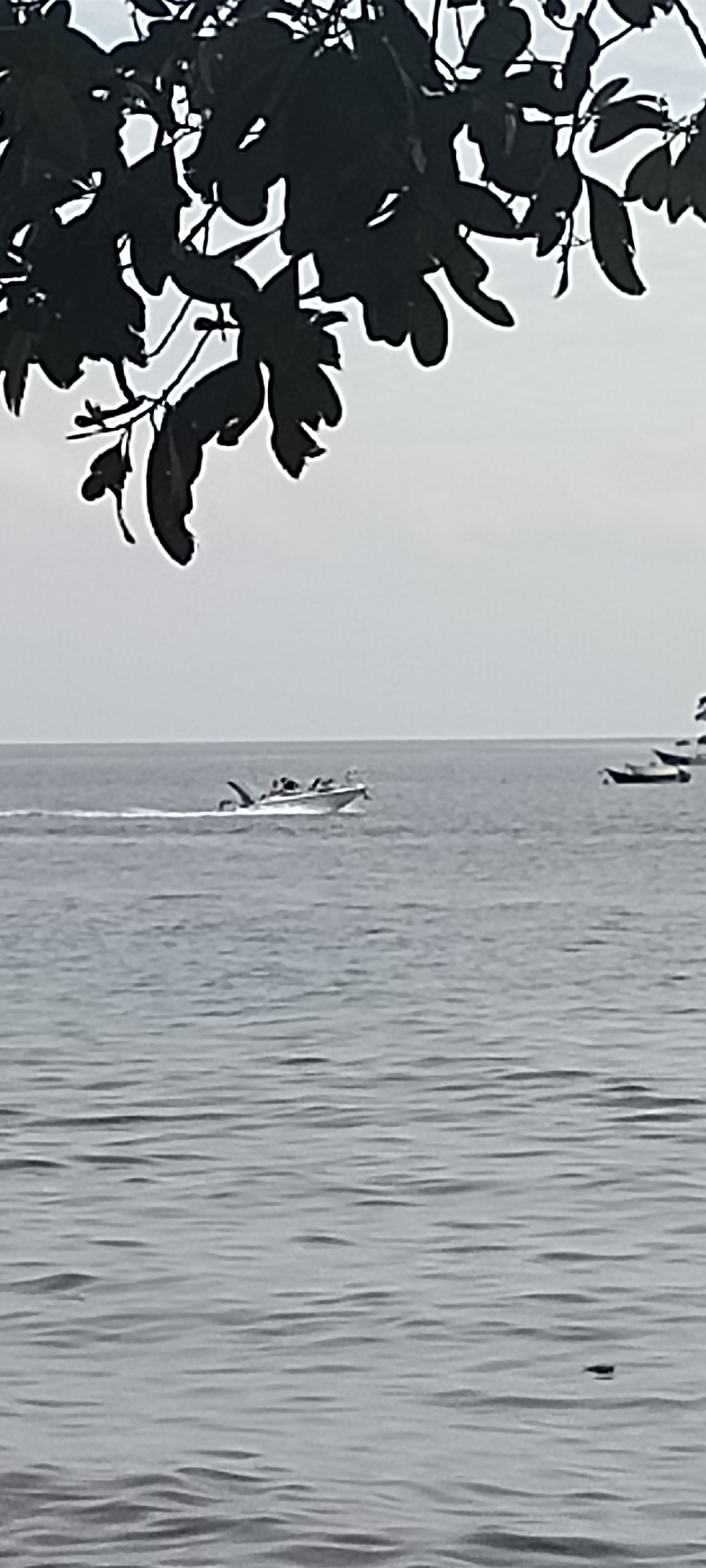 In Sabang, Indonesia, a small motorboat with several people on board navigates the calm sea, leaving a visible wake. The boat is positioned to the left of the frame. In the distance to the right, two other boats are visible. The scene is framed by the dark silhouettes of tree branches and leaves in the foreground. The sky is overcast.