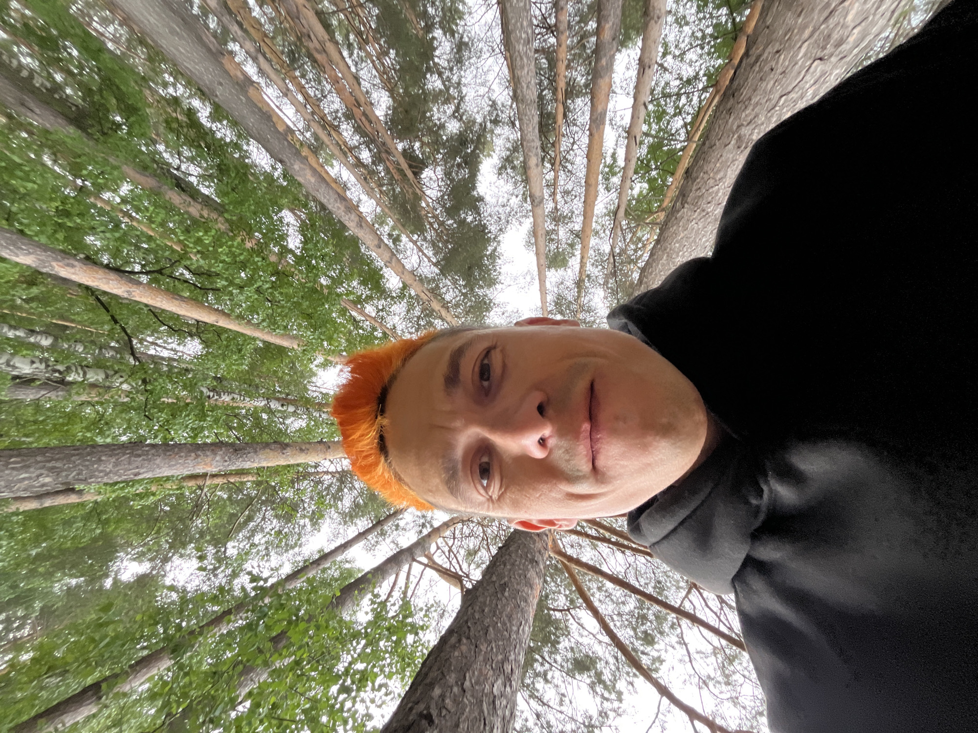 A low-angle, wide-angle selfie captures a male individual with bright orange, spiky hair and a black hooded sweatshirt, looking directly into the camera with a slight smirk. His face occupies the lower center of the frame. The background features a dense forest in the city of Chaikovsky, Russia, with numerous tall tree trunks, primarily conifer, and some deciduous trees with green foliage, stretching upwards and converging dramatically due to the wide-angle perspective. The sky, visible through the canopy, is overcast and uniformly bright white.