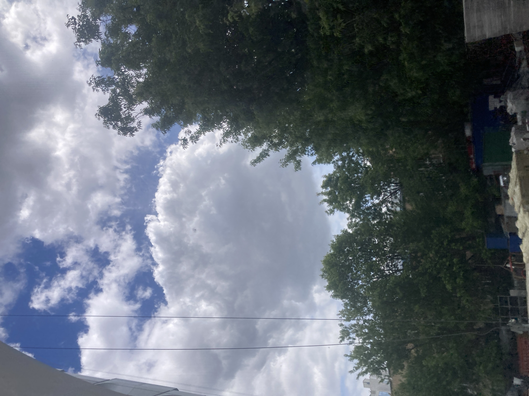 The image depicts a view looking up at the sky in what appears to be an urban setting, potentially Moscow, Russia. The sky is partially covered by large cumulus clouds, with patches of blue visible. Trees with dense green foliage frame the scene on either side. Electrical wires stretch horizontally across the lower portion of the frame. Along the right edge, there are glimpses of buildings, including portions of walls and a blue-covered area. The perspective suggests the photo was taken from a street or other open space surrounded by vegetation and structures.