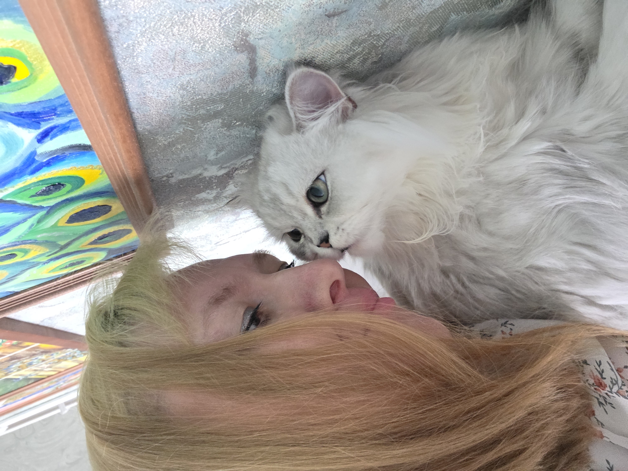 This is a close-up, high-angle photograph of a person and a cat. The person has long, blonde hair that is in the foreground, obscuring much of their face. Their eyes are closed, and their head is tilted back. A white, fluffy cat is positioned near the person's face, with its nose gently touching the person's nose. The cat has blue-green eyes and light grey fur. Both subjects appear to be lying down.
In the background, to the left of the frame, is a portion of a painting with vibrant colors, featuring abstract patterns that resemble peacock feathers. The painting is framed by a wooden edge. To the right of the subjects, a textured, light-colored surface is visible, possibly a wall or fabric.
The lighting suggests an indoor setting, likely during the daytime. The overall mood is intimate and affectionate, conveyed by the gentle interaction between the person and the cat. The image is oriented sideways. There is no visible text in the frame. The location context is Novocheboksarsk, Russia.