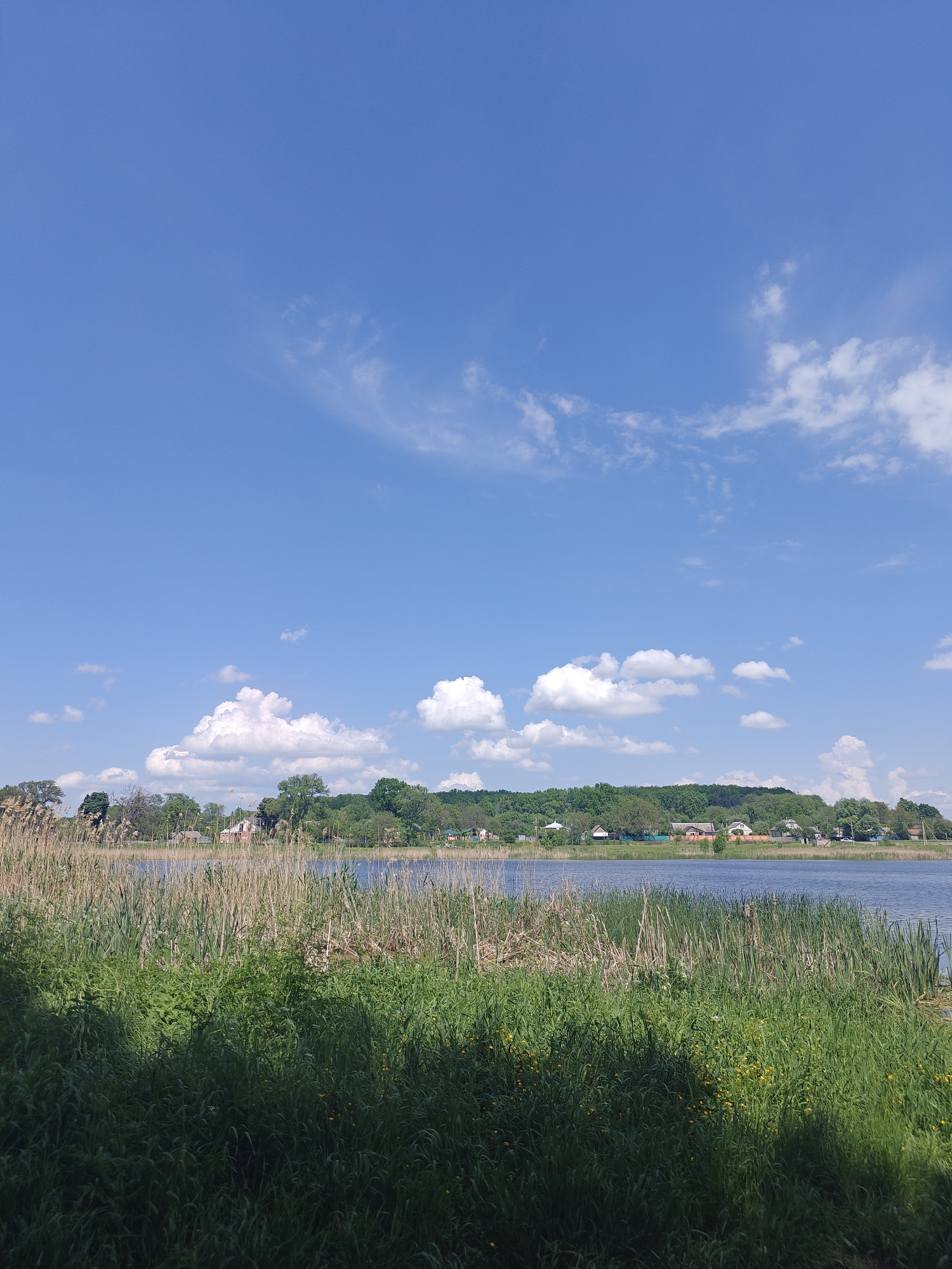 The image shows a sunny, outdoor scene at an unidentified location within the city of Bobrivnyk, Ukraine. A body of water, potentially a lake or pond, occupies the middle ground of the image. The foreground is filled with tall, green grasses and reeds, partially shaded. In the background, across the water, are trees, houses, and structures, indicating a residential area. The sky is blue with scattered white clouds. No people or specific actions are visible in the frame.