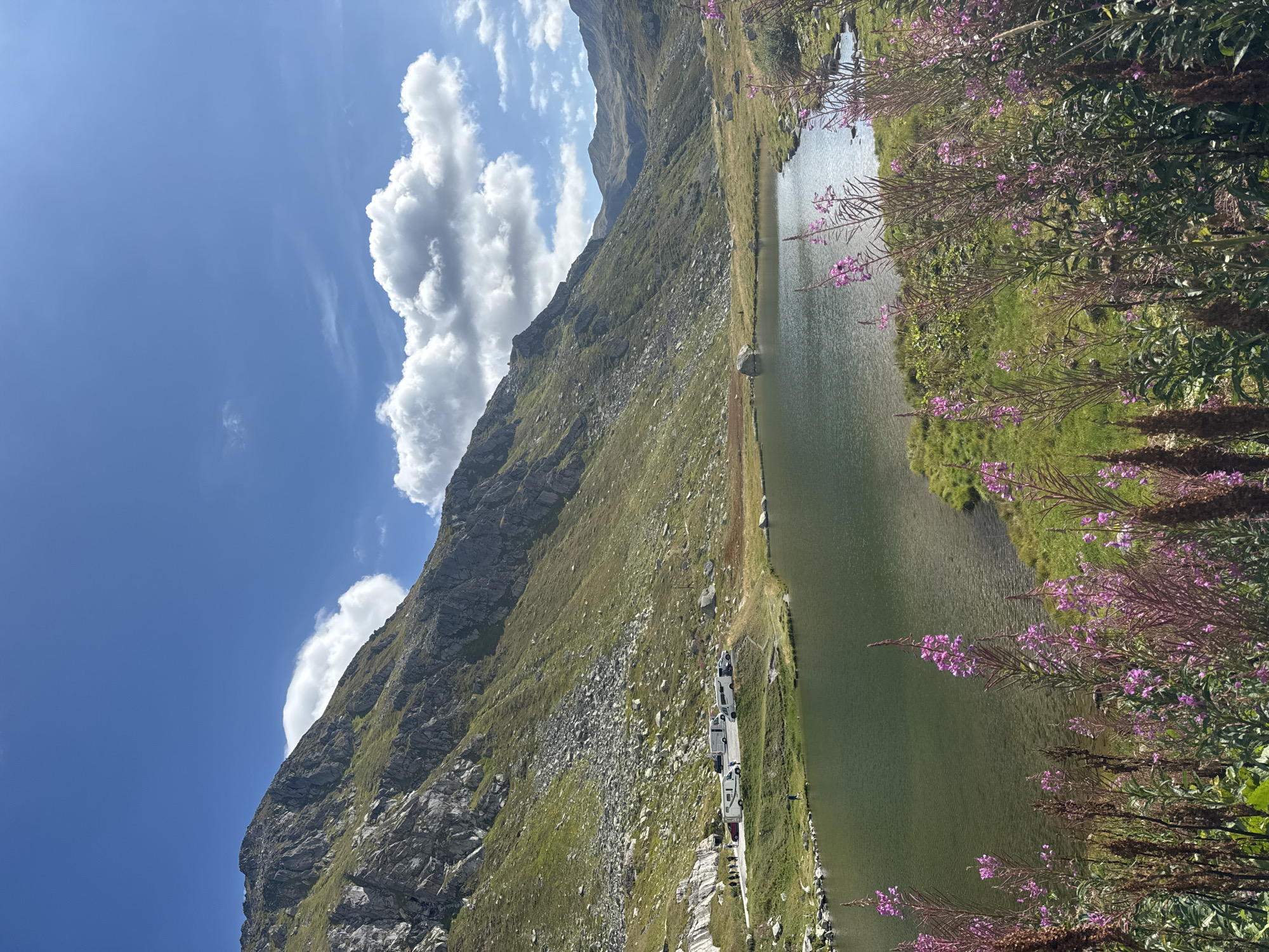 An eye-level, medium shot captures a tranquil mountain lake on a sunny day. The lake, reflecting the bright blue sky and scattered white clouds, occupies the lower two-thirds of the frame. Its surface is calm, with some ripples near the shore where lush green grass meets the water. In the foreground, several tall plants with delicate pink flowers add a touch of color and depth.
To the left of the lake, a steep, rocky mountainside rises dramatically, covered in patches of green grass and scree. A small paved area is visible at the base of the mountain, where several recreational vehicles, including campers and vans, are parked. A group of people, appearing as small figures from this distance, are gathered near the vehicles.
The background reveals more rolling mountains that fade into a hazy distance under the expansive sky. The overall scene conveys a sense of natural beauty and a peaceful, remote setting. The location is identified as being in or near Airolo, Switzerland.