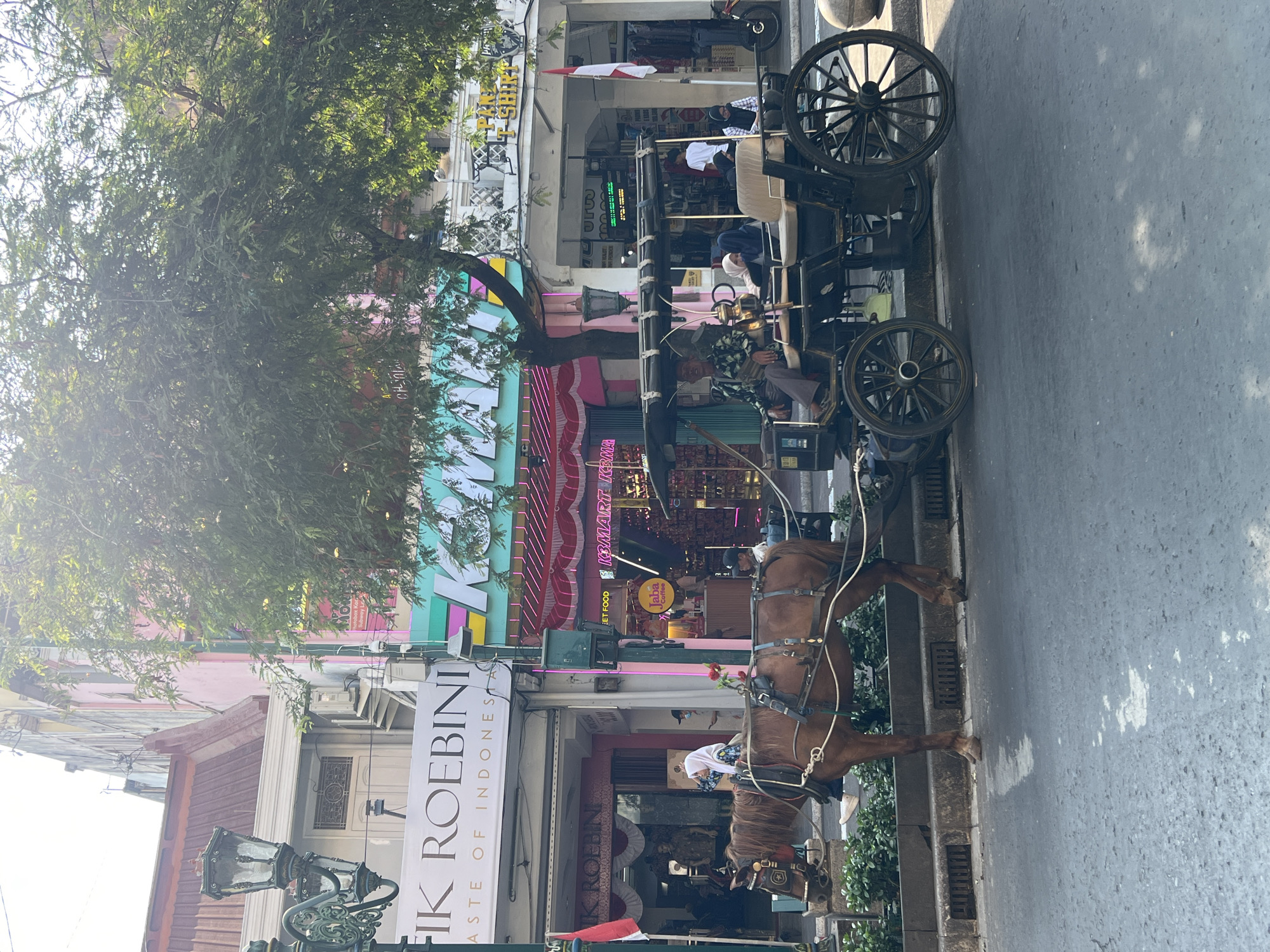 The image depicts a horse-drawn carriage parked on a city street in Yogyakarta, Indonesia. The carriage, a dark-colored, open-topped vehicle with spoked wheels, is occupied by at least three individuals. A brown horse is harnessed to the front of the carriage. In the background, several shops line the street. One shop displays a sign that reads "FIK ROEBINI TASTE OF INDONESIA". Another shop has a bright pink awning and neon signage. The street appears to be paved, with some wet patches. Lush green trees with dense foliage are prominent in the scene, casting shadows. The architecture of the buildings suggests a historical or traditional urban setting. The lighting indicates it is daytime, with sunlight filtering through the trees. The overall scene captures a moment of everyday life in a bustling urban environment.