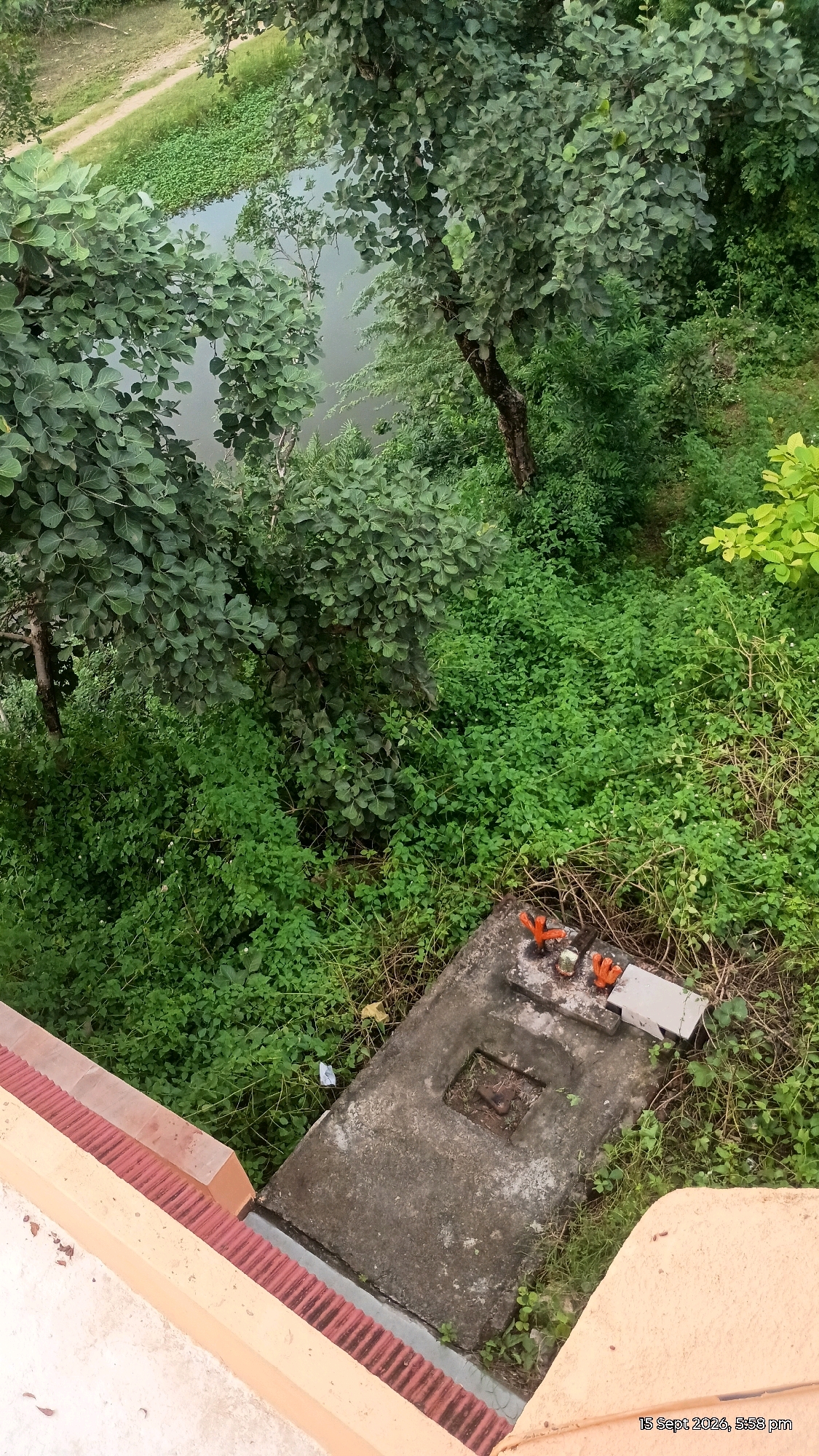 This image, dated September 15, 2026, at 5:58 PM, captures an outdoor scene with a body of water visible in the upper left quadrant, bordered by lush green vegetation and trees. In the foreground, a light-colored wall with reddish-brown patterned bricks separates the viewer from the overgrown natural environment. Dominating the lower right portion of the image is a concrete structure, appearing to be a wellhead or a similar fixture, with two small orange figures placed on top, possibly religious idols. The surrounding area is dense with various types of green foliage and some dry branches. The image appears to be taken from an elevated perspective, looking down onto the scene. The location is identified as Umra, India.