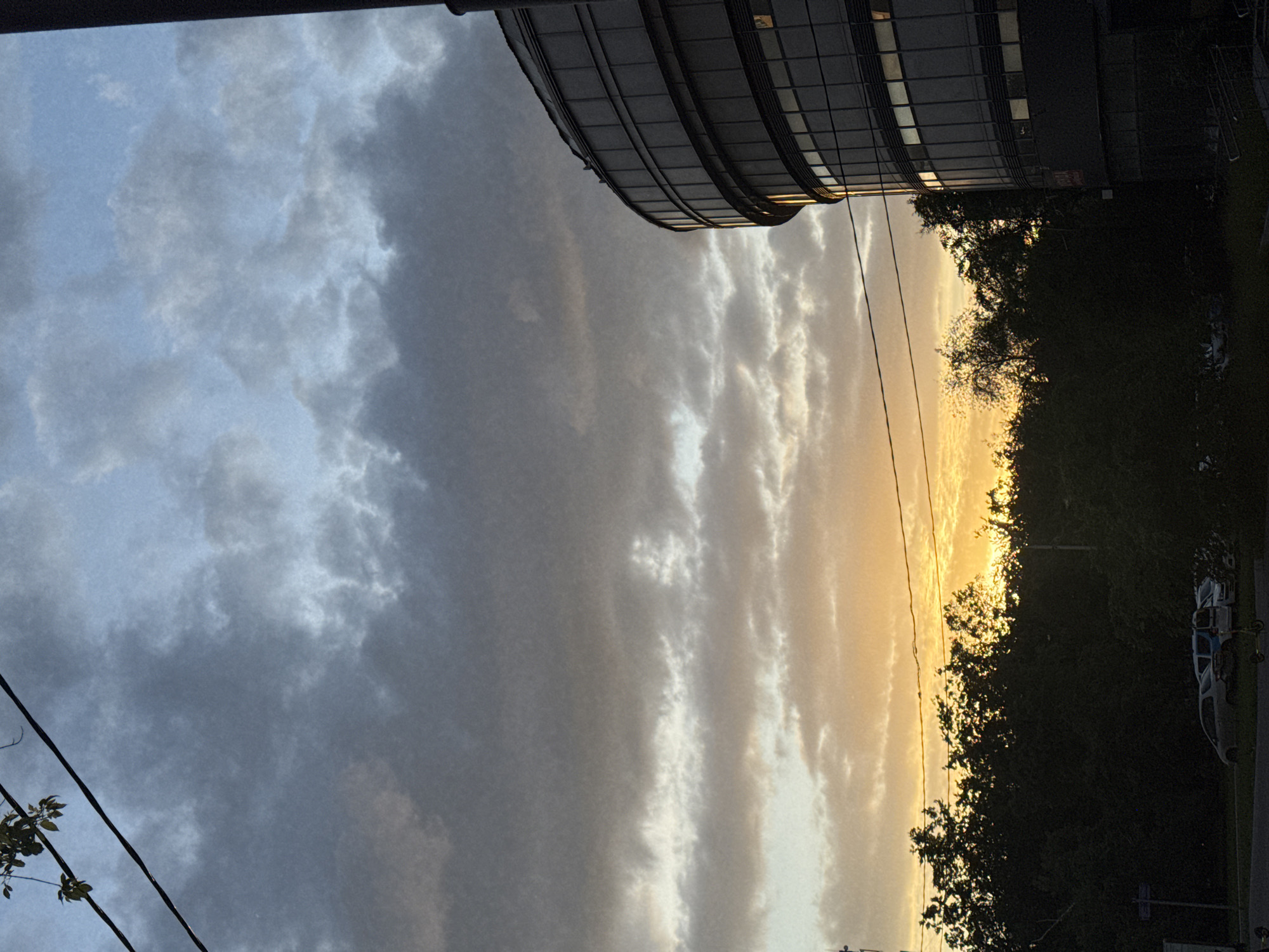 The image captures an urban or suburban scene at either sunrise or sunset, characterized by a dramatic and colorful sky. The perspective is slightly upward, looking towards a horizon line formed by trees and a modern building.
The sky dominates the upper portion of the frame. On the left, it is a pale blue-grey covered with soft, diffused clouds. Towards the right, the clouds transition into bright, streaky formations, glowing intensely with golden-yellow light from a low-lying sun near the right edge of the image.
Across the middle of the frame, a dense line of trees forms a dark silhouette against the luminous sky, their upper branches catching the warm light. To the right, a large, dark, modern building with a curved facade and numerous rectangular windows extends into the frame. Its dark glass and metal construction reflects some of the sky's light.
In the lower right, partially obscured by the trees, several vehicles are parked on what appears to be a street or paved area. A light-colored van or SUV and at least two scooters are discernible. In the lower left foreground, two dark power lines with a few visible green leaves from a nearby branch cut across the cloudy sky.
No human figures or explicit activities are visible; the scene depicts a tranquil moment. The golden light suggests either dawn or dusk, creating a serene atmosphere in what is contextually described as Moscow, Russia. A small, unreadable sign with faint text can be seen near the base of the modern building.