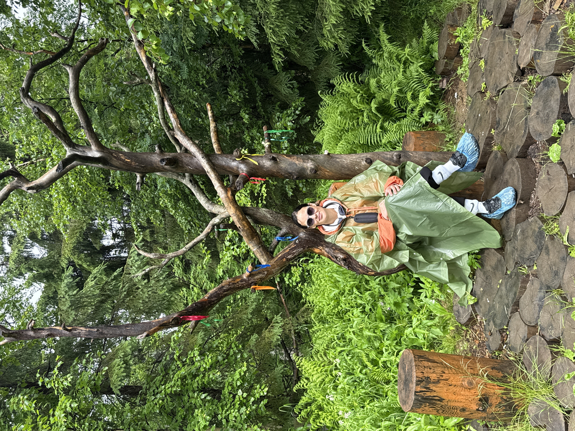 A woman wearing sunglasses and a green poncho sits on a wooden pathway made of sliced logs. She has on blue shoes and white socks with a Nike logo. She is positioned near a dead tree with colorful ribbons tied to its branches. The background is a dense forest with lush green foliage, including ferns and pine trees. The scene appears to be located in Usva, Russia.
