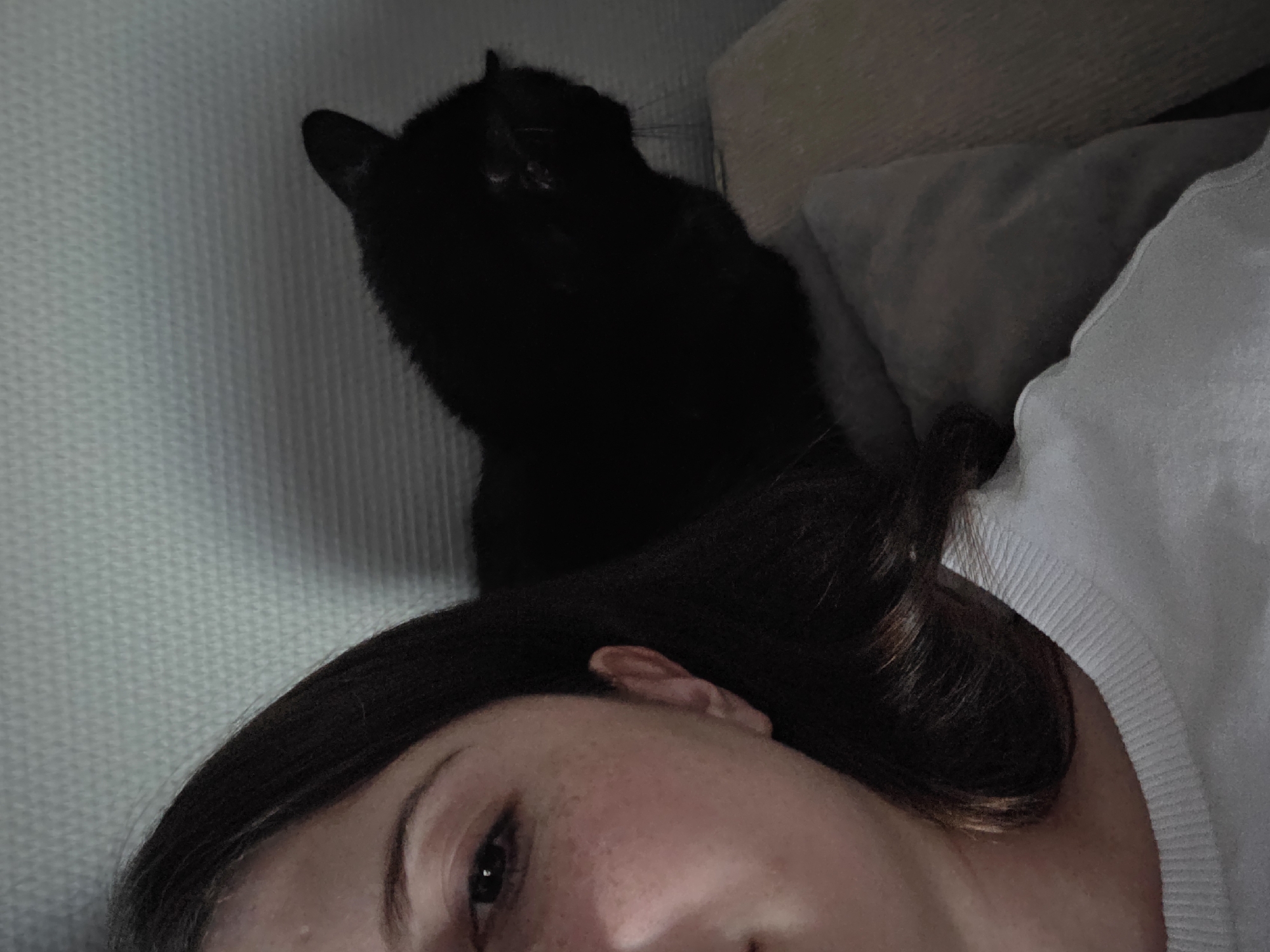 In an indoor setting, a close-up shot captures a person and a black cat. The person is positioned on the left side of the frame, facing the camera, with their left eye and part of their face visible. Their hair is dark brown and frames their face. They are wearing a white, ribbed neckline garment. To the right of the person, a black cat is seen from behind, its head turned slightly away from the camera, with its ear visible. The cat is resting on a light-colored surface, possibly a cushion or pillow. The background is a textured wall, appearing to be light gray or off-white. The lighting is dim, creating shadows and highlighting the textures in the scene.