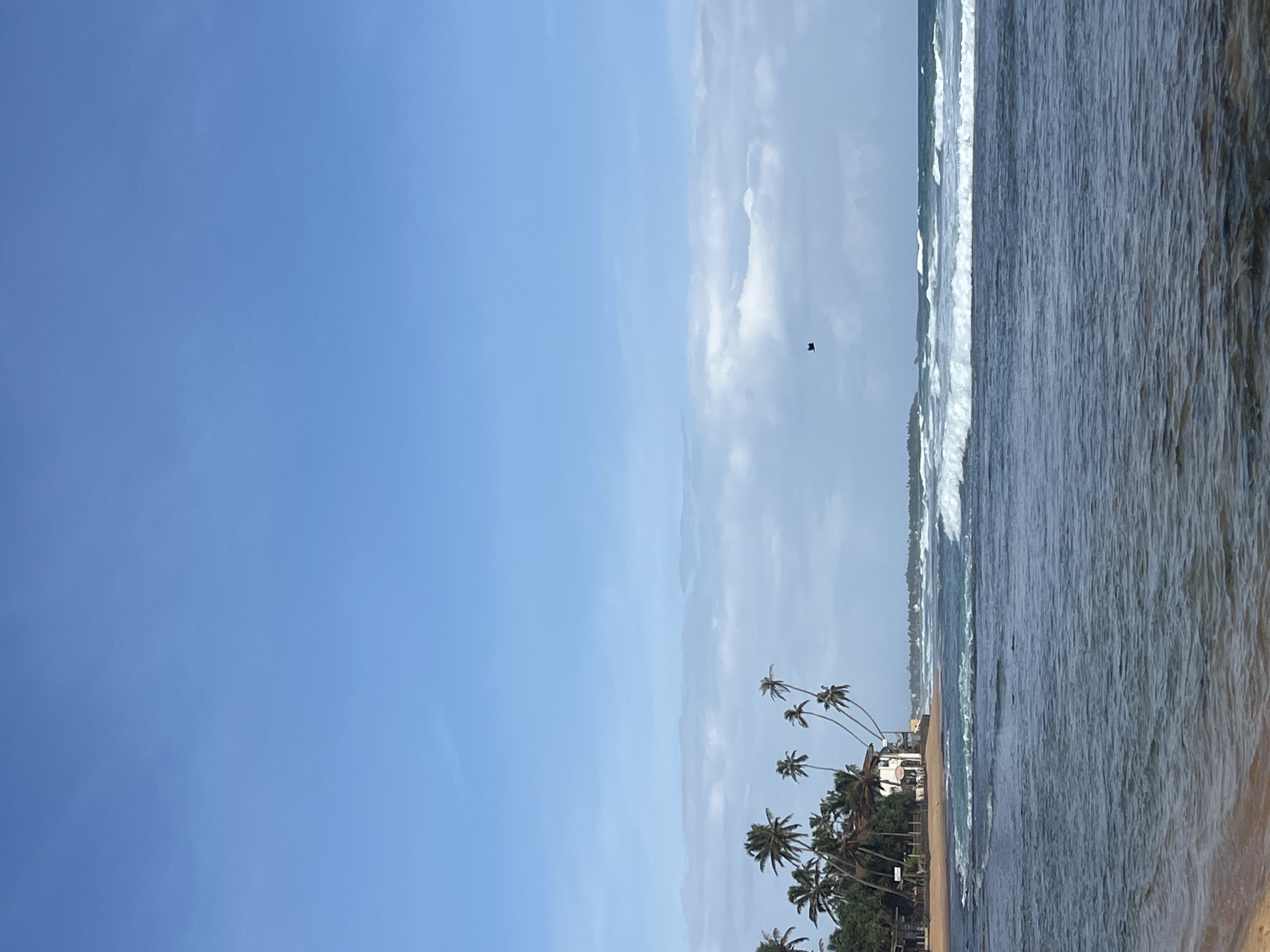 A wide-angle shot captures a scenic view of the ocean in Hikkaduwa, Sri Lanka. The clear blue sky, with a few wispy clouds, dominates the upper portion of the frame. In the middle ground, a line of palm trees stands tall along the sandy shore, with a white building nestled amongst them. The ocean is dynamic, with white-capped waves rolling towards the beach. A single bird is visible flying high in the sky. The foreground shows the gentle lapping of waves on a sandy beach.