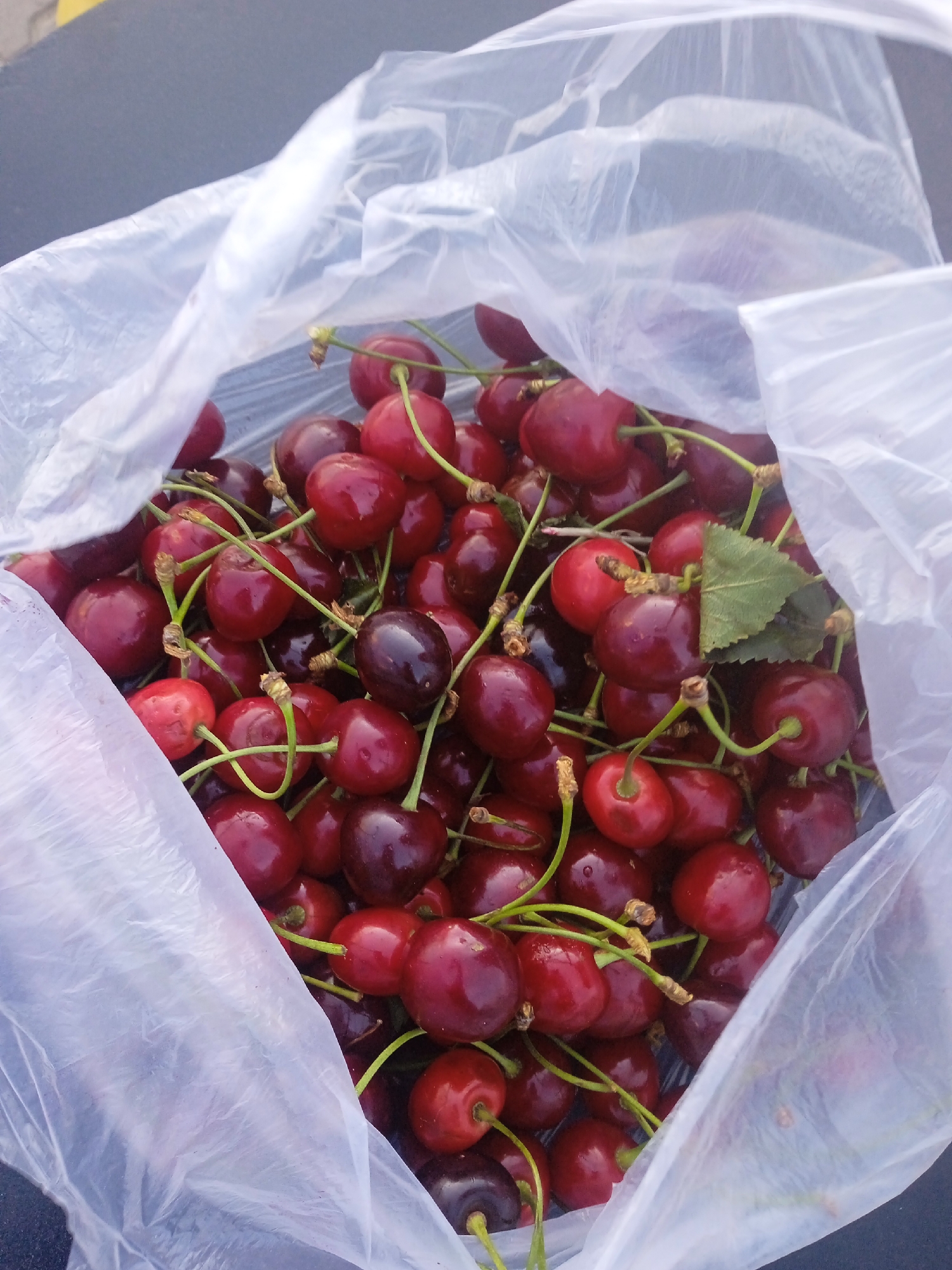 A plastic bag is filled with a large quantity of ripe cherries. The cherries are dark red and have green stems. Some leaves are also visible amongst the fruit. The bag is partially open and lies on a dark, flat surface, possibly a table or countertop. The background is blurred but suggests an outdoor setting, possibly in Chernivtsi, Ukraine.