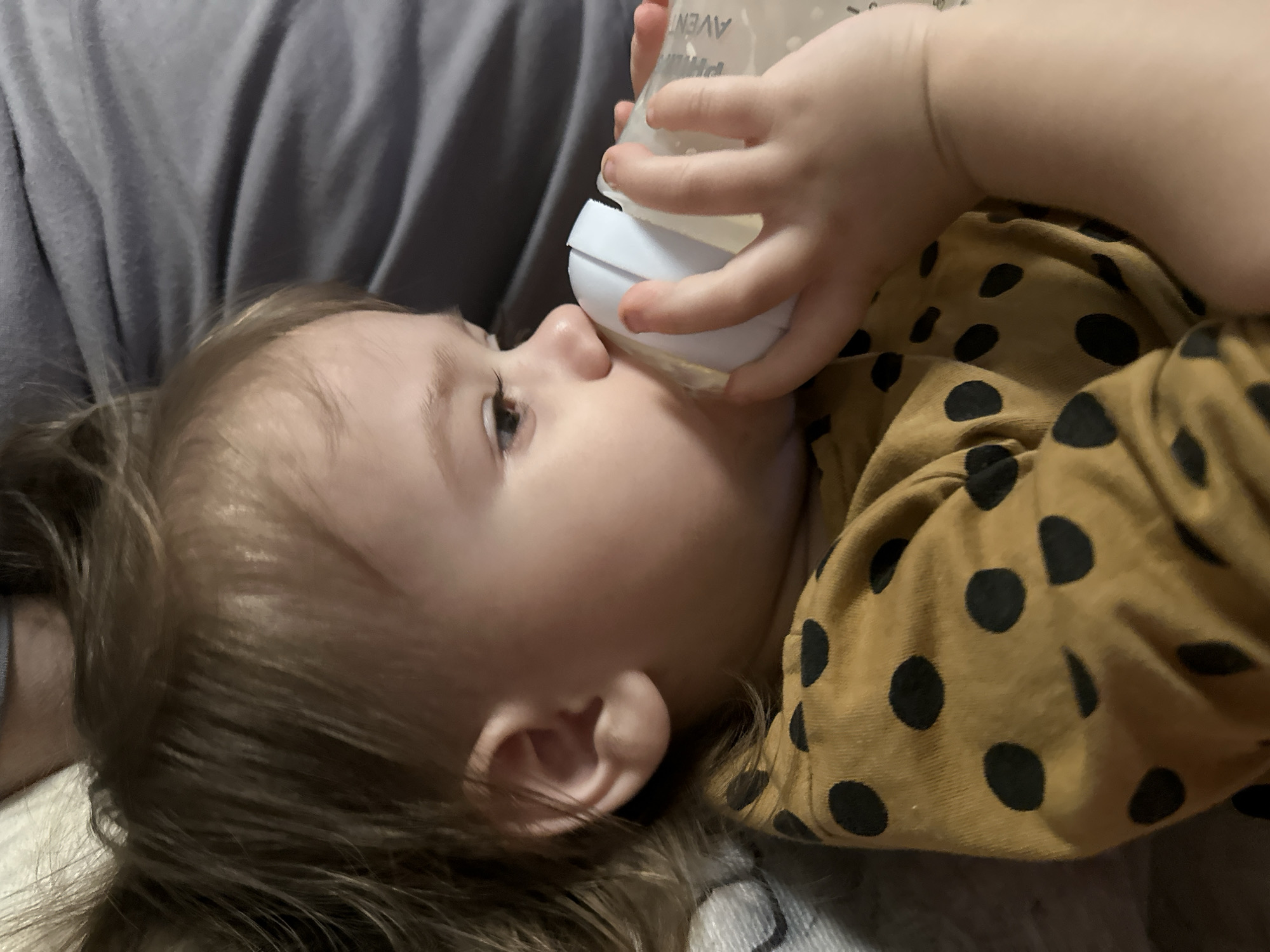 A young child, likely a toddler, is depicted lying down and drinking from a baby bottle in a close-up, high-angle shot. The child's head and upper torso are visible, positioned sideways. They have light brown hair, fair skin, and are looking slightly upwards with their right eye visible. The child is wearing a mustard yellow top with black polka dots, which appears to be made of a soft fabric.
The child is holding a clear plastic bottle with a white cap and nipple, filled with a light-colored liquid, presumably milk or formula. Their small hands are wrapped around the bottle, demonstrating their grip. The brand "PHILIPS AVENT" is visibly printed on the side of the bottle.
The setting appears to be indoors, likely a cozy environment such as a couch or bed, indicated by the soft, grey, textured fabric (possibly a blanket or clothing) in the background and beneath the child. The lighting is soft and ambient, suggesting an intimate, relaxed moment. The overall impression is one of calm and contentment as the child focuses on feeding. There are no specific cues within the image to suggest the provided location context of Uva, Russia.